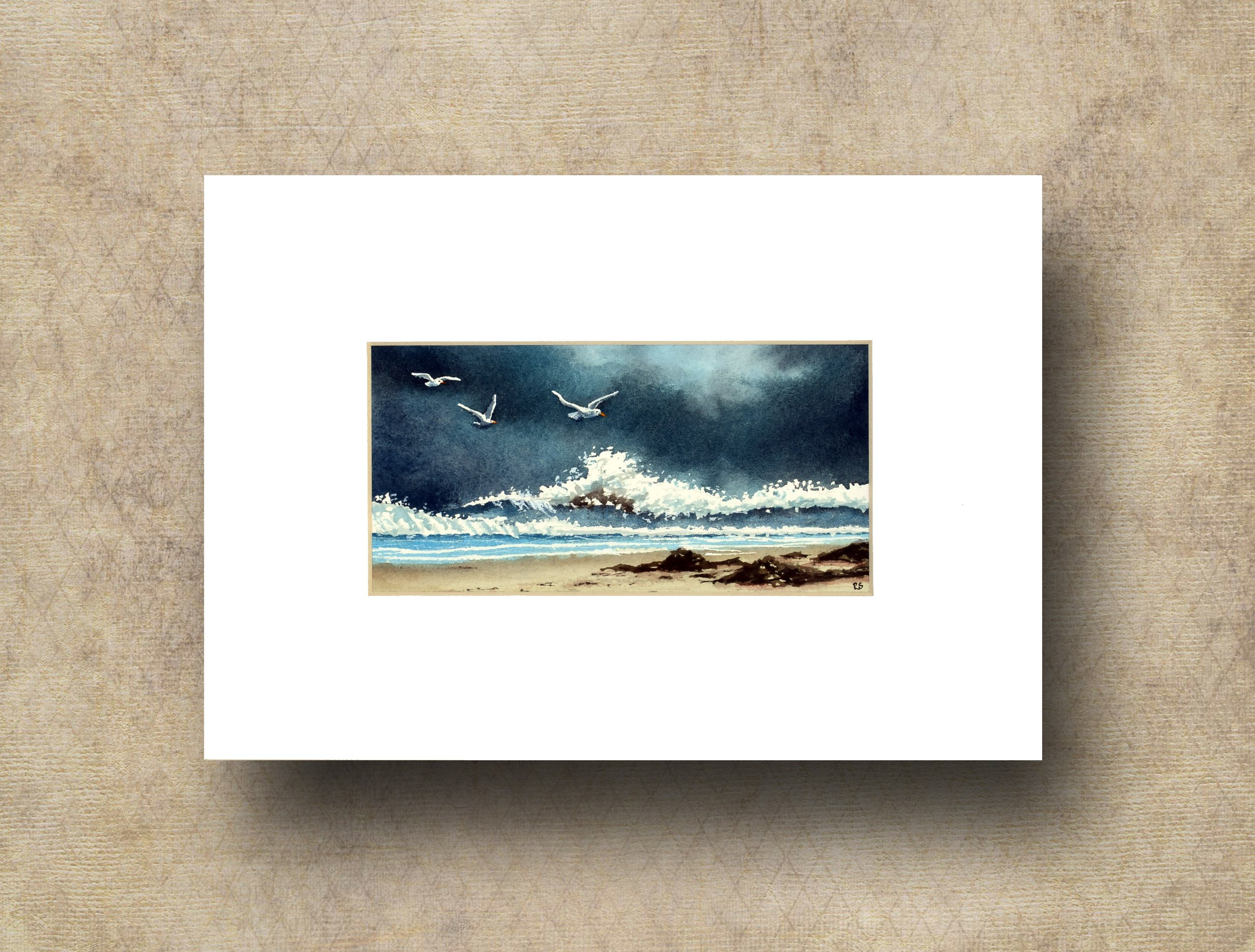 Coastal view.jpg