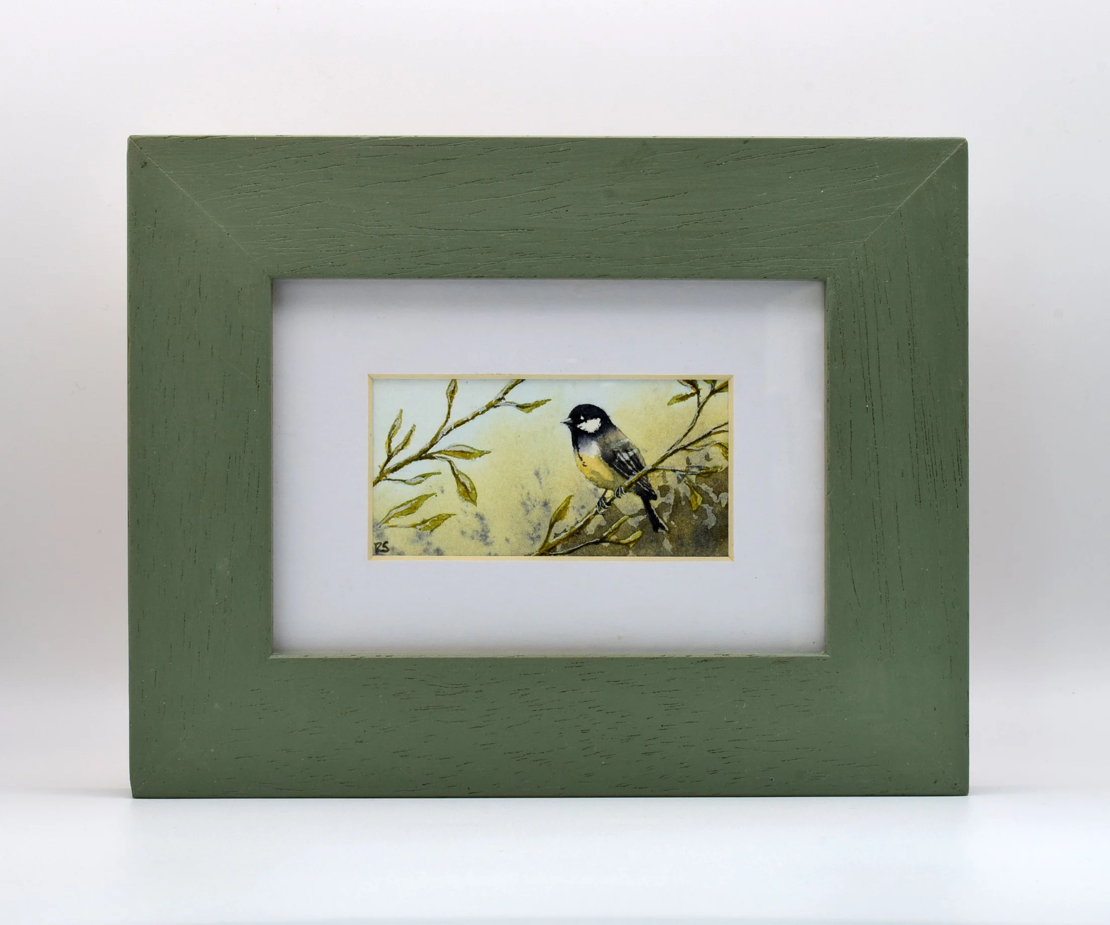 Coal Tit