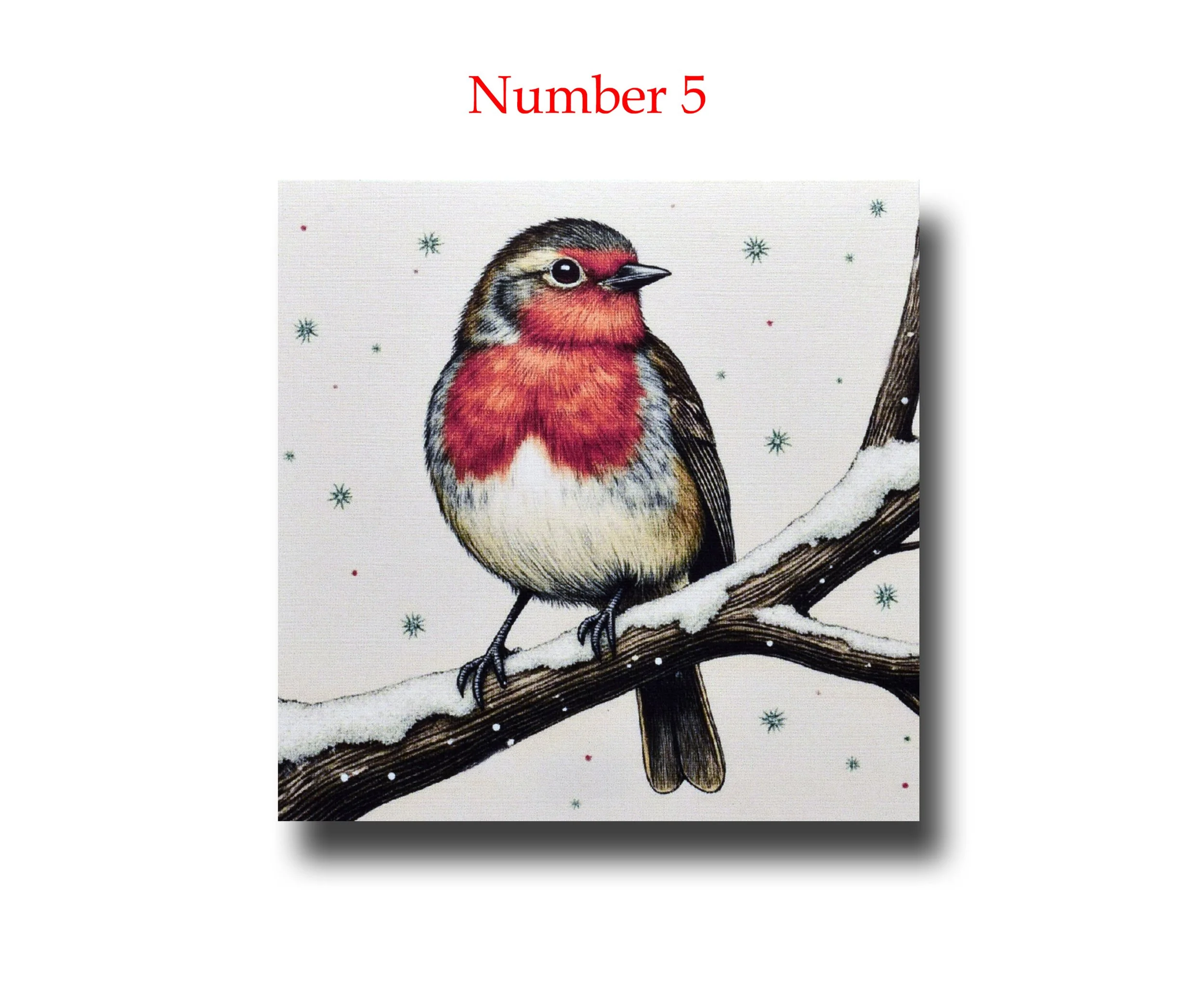 Robin B two A number.jpg