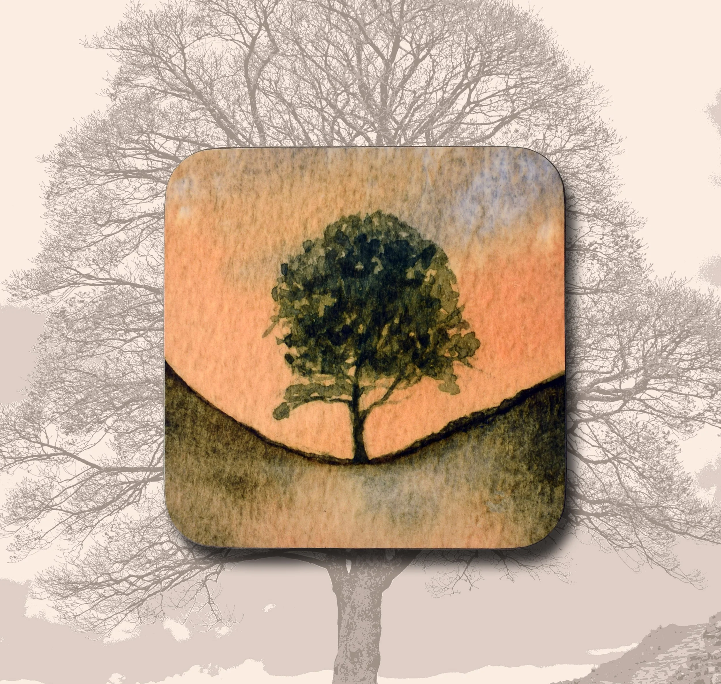 Orange Sycamore Gap coaster five.jpg