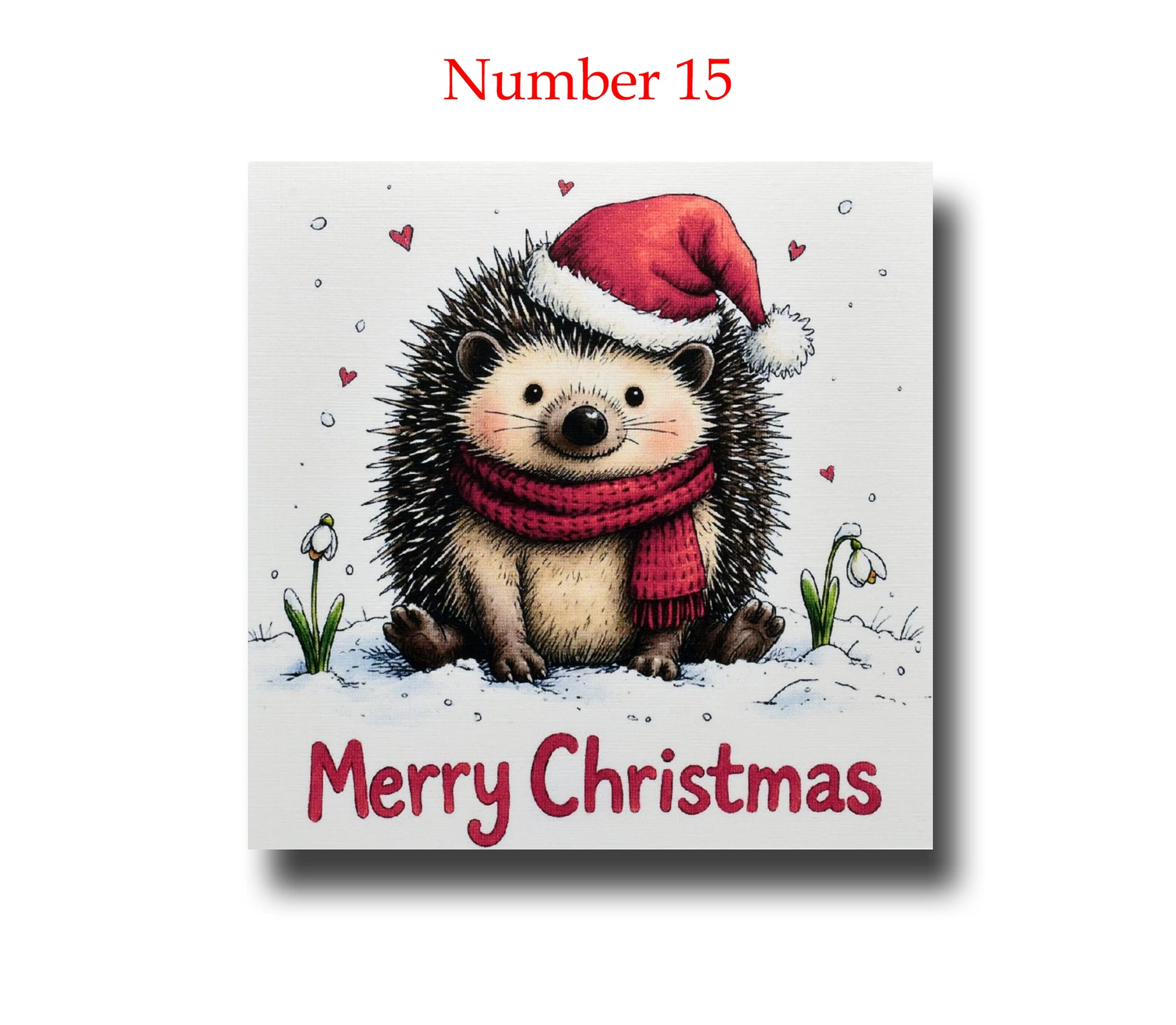 Merry Christmas Hedgehog two A number.jpg