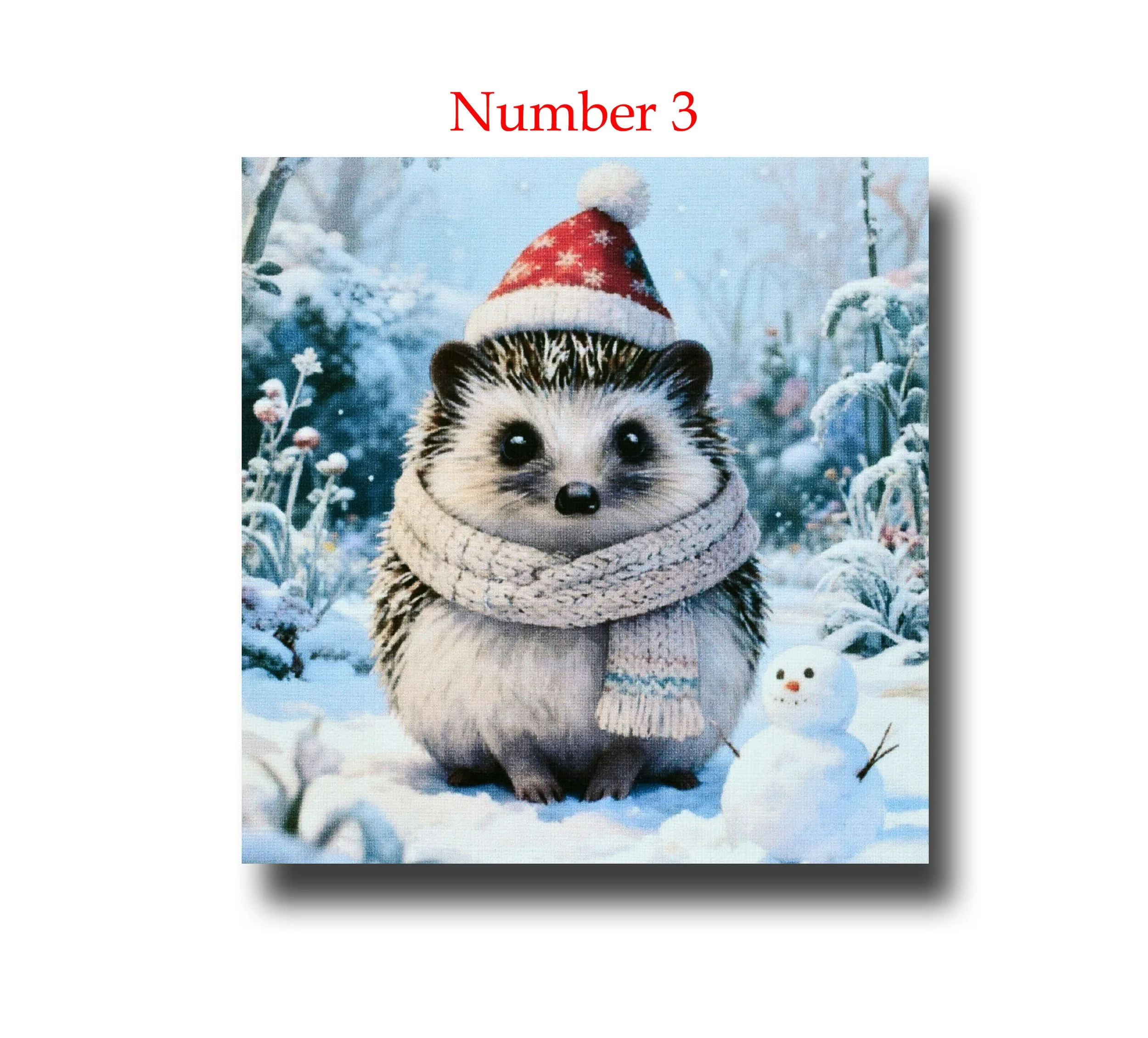 Snowy Hedgehog two A number.jpg