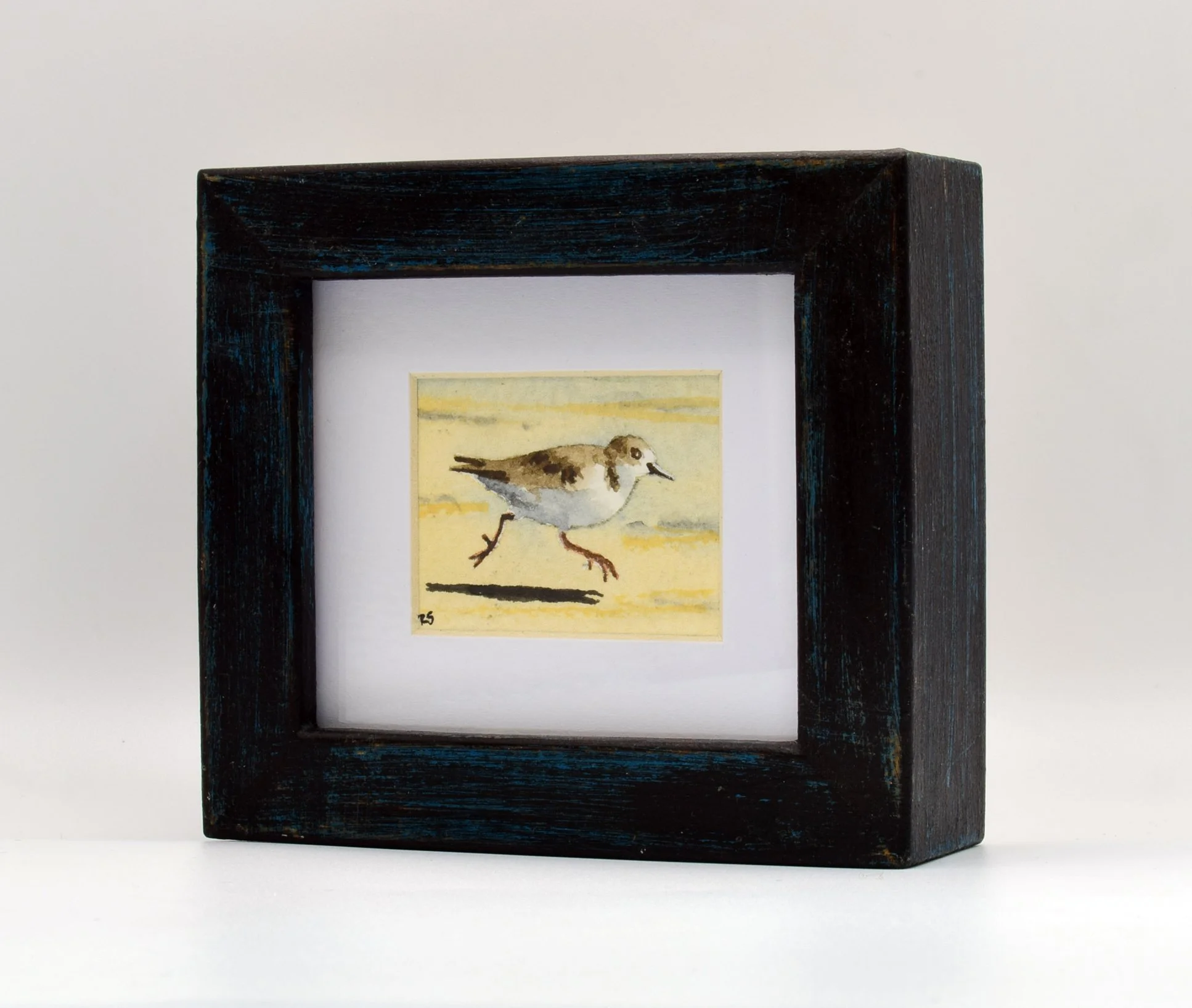 Sanderling one.jpg
