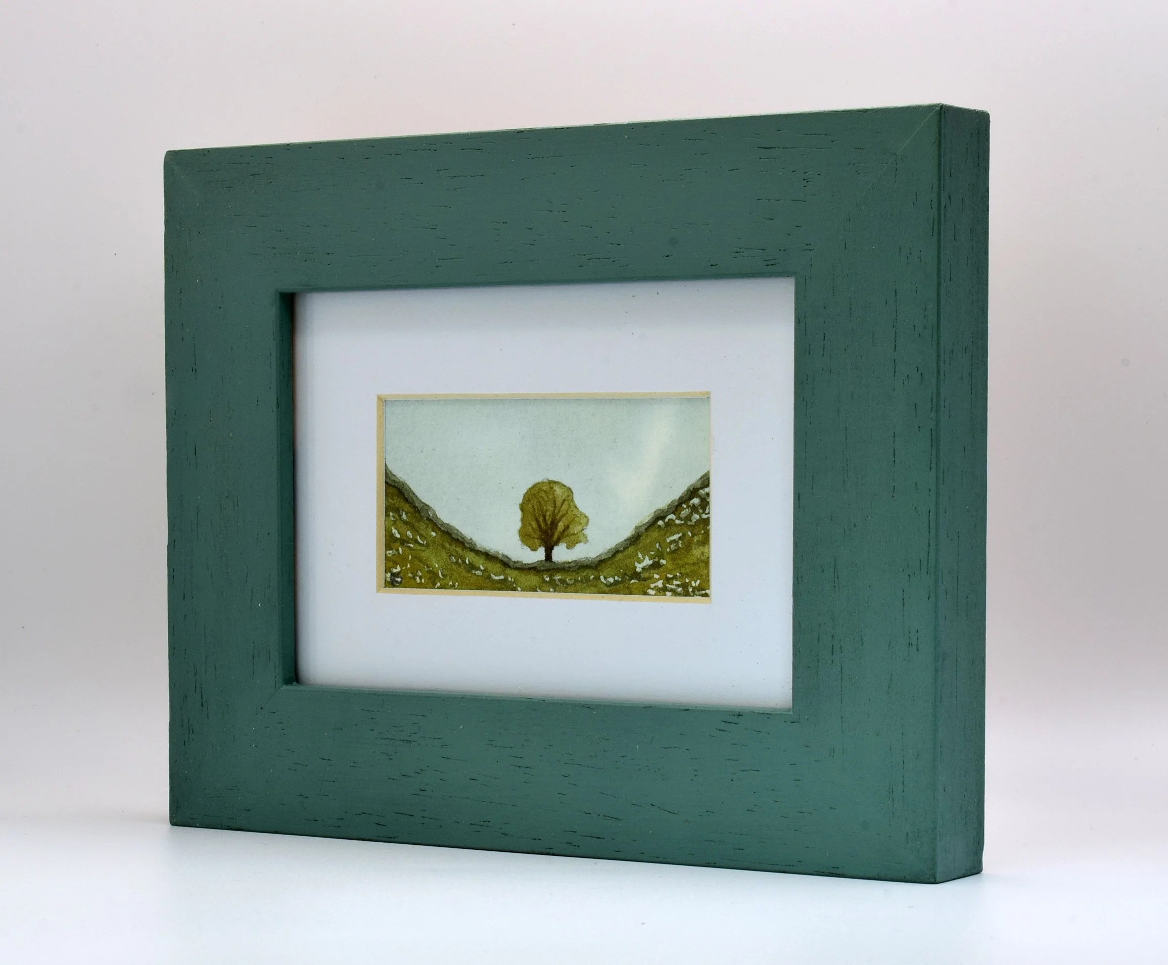 Sycamore Gap one.jpg