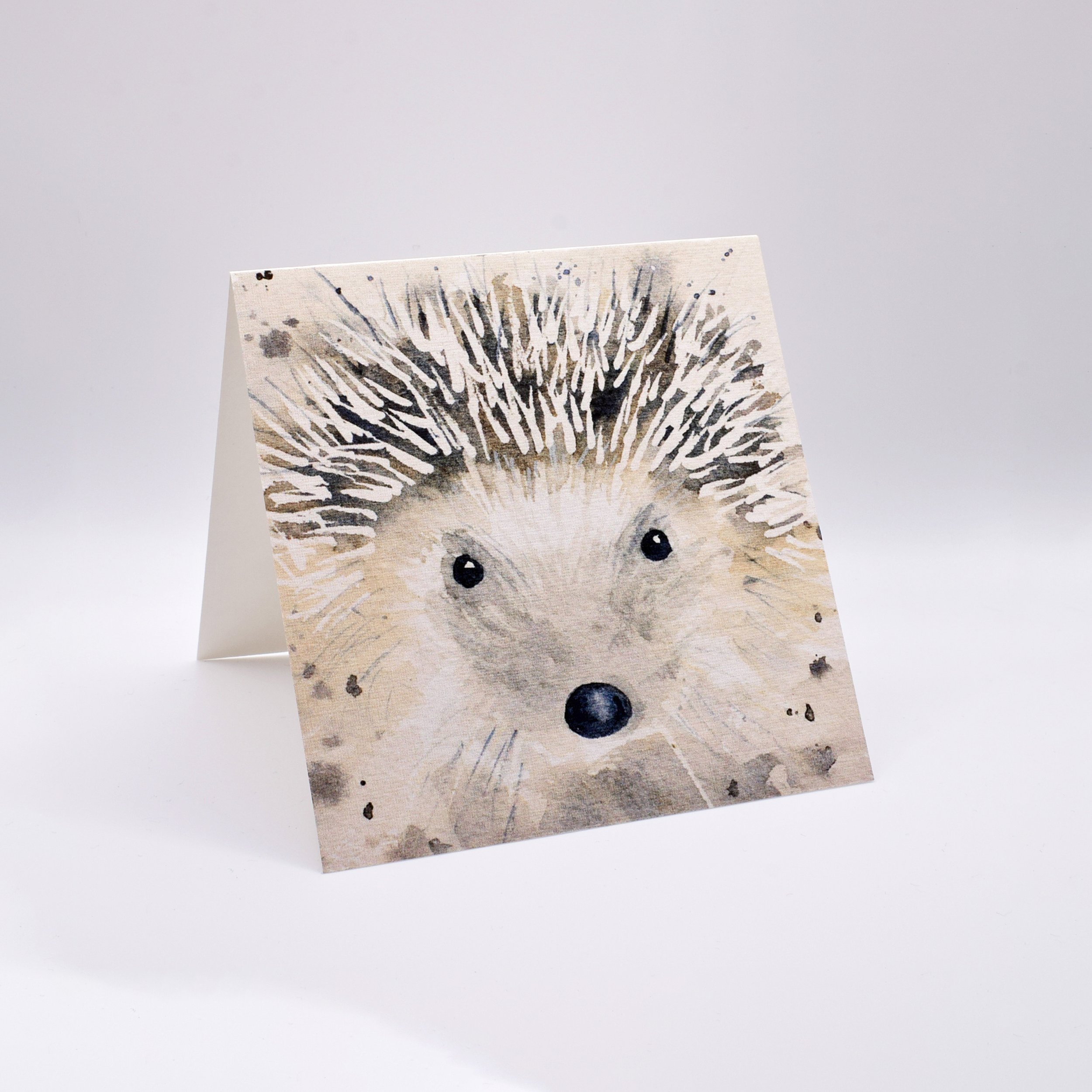 Hedgehog two.jpg