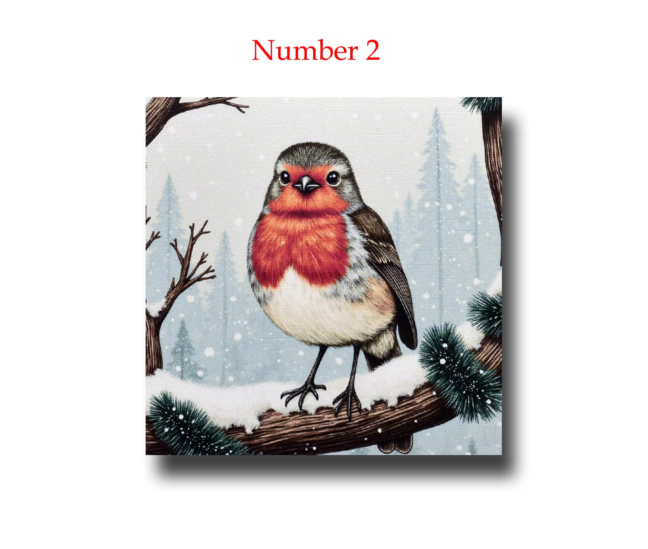 Robin A two A number.jpg