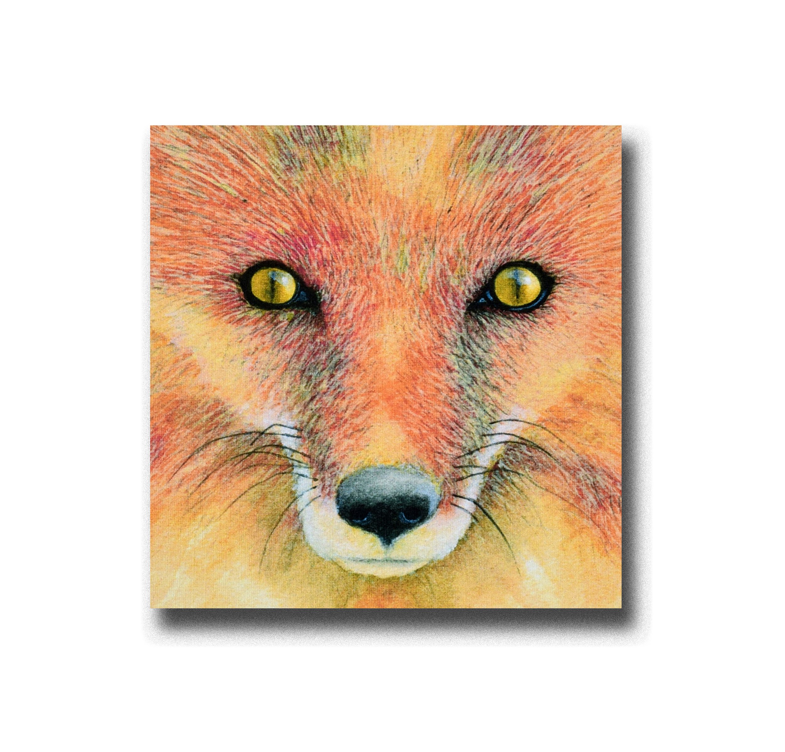 Mr Fox.jpg