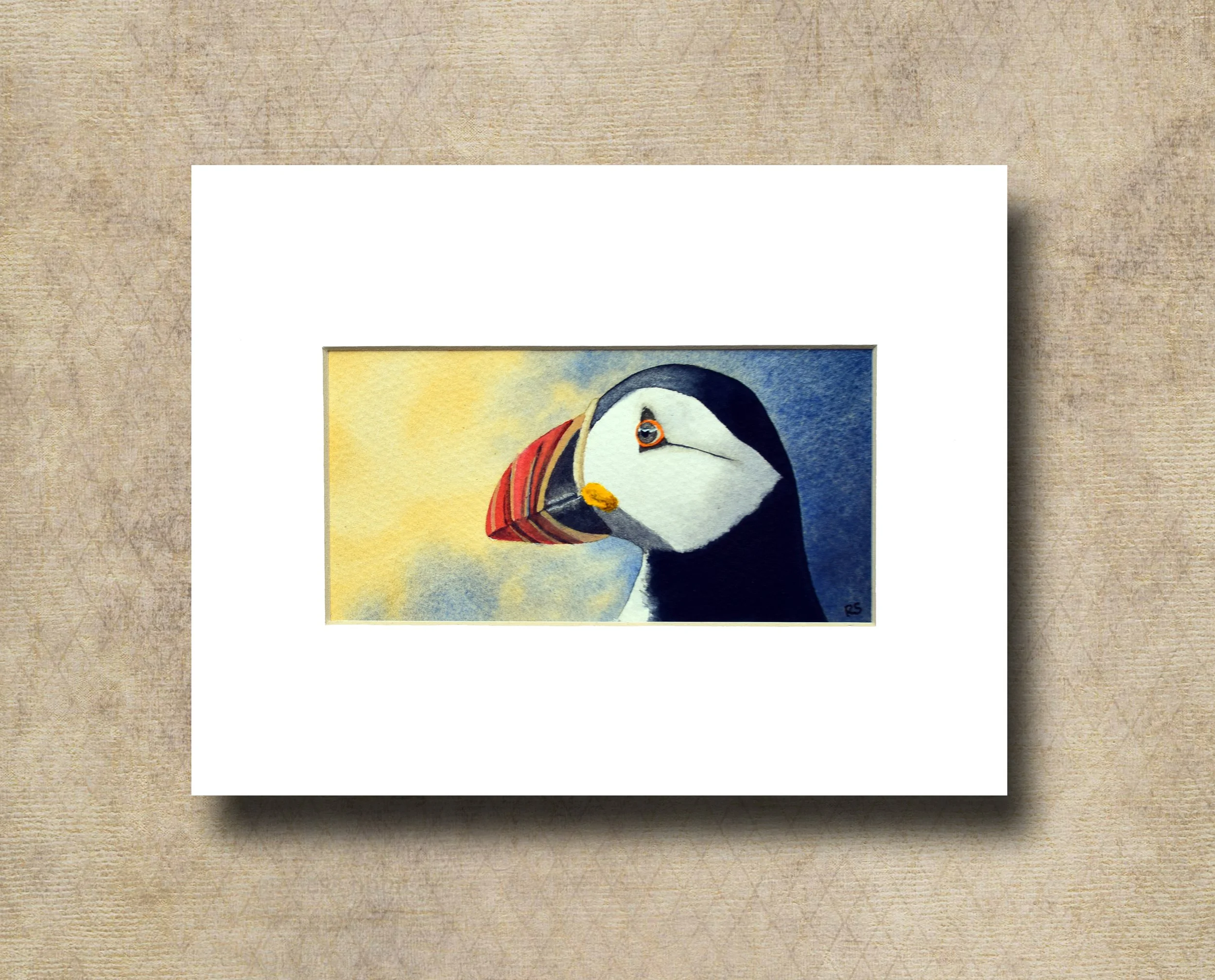 A Farne islands Puffin.jpg