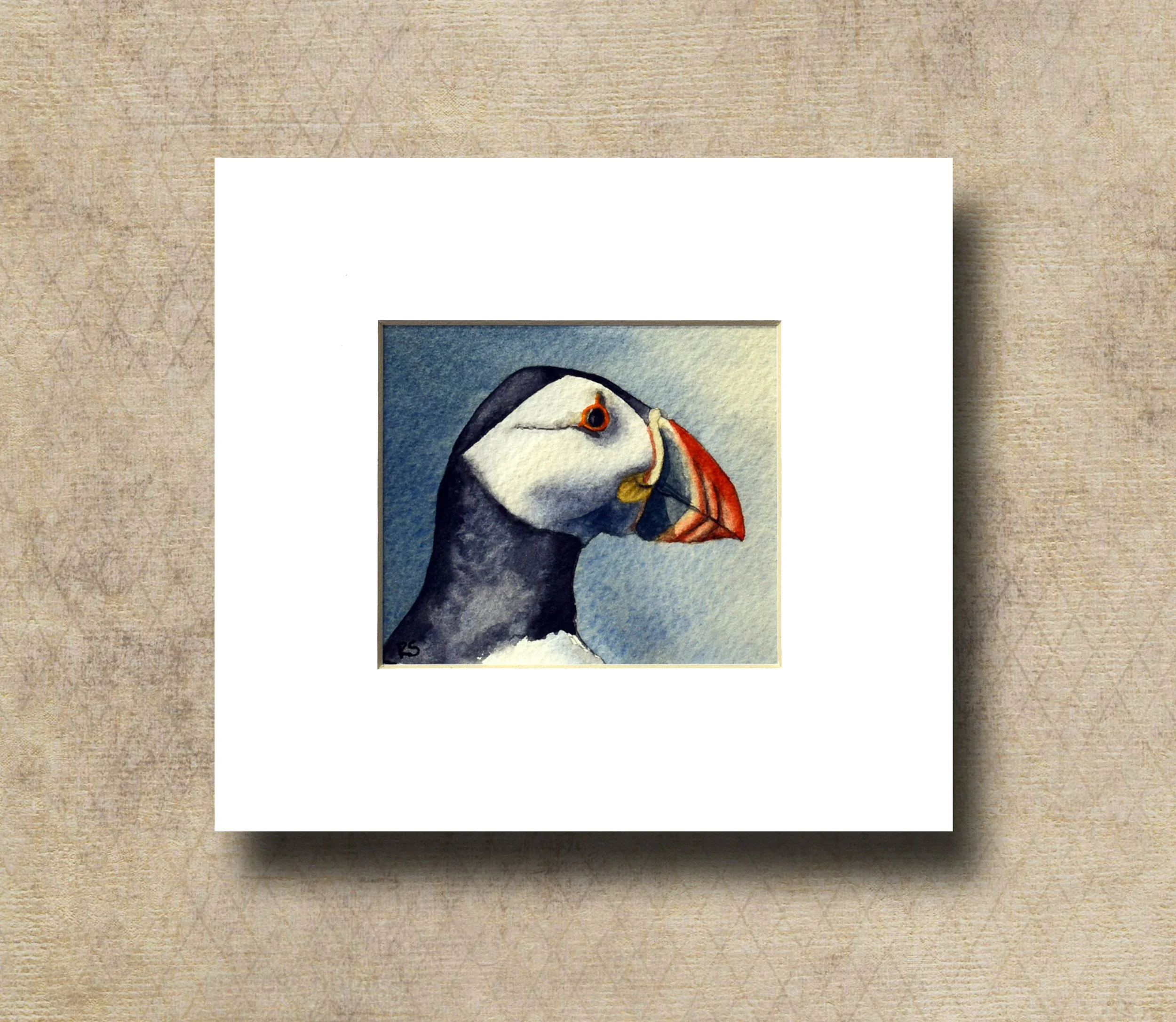 A trip to the Farne islands one.jpg