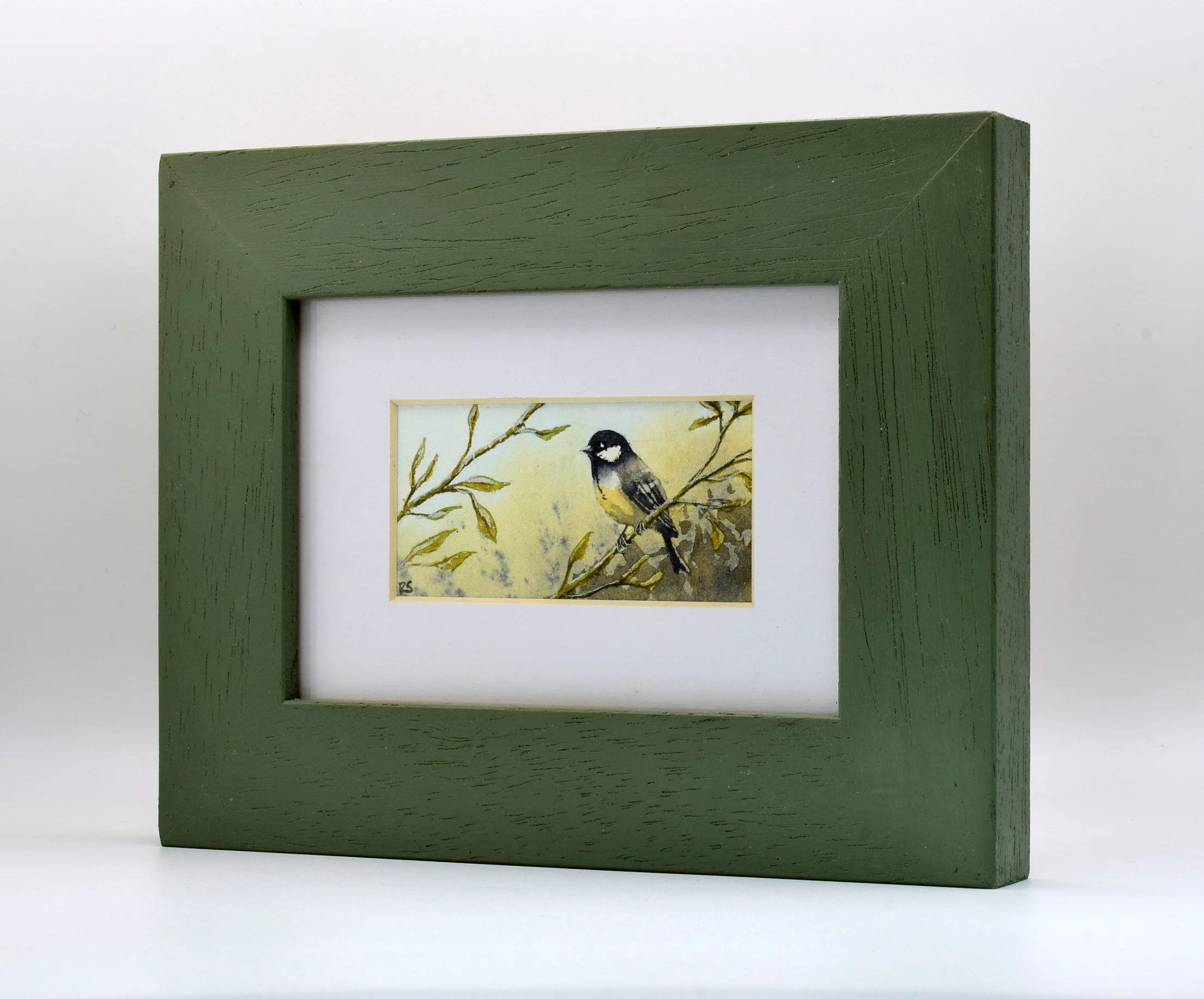 Coal Tit one.jpg