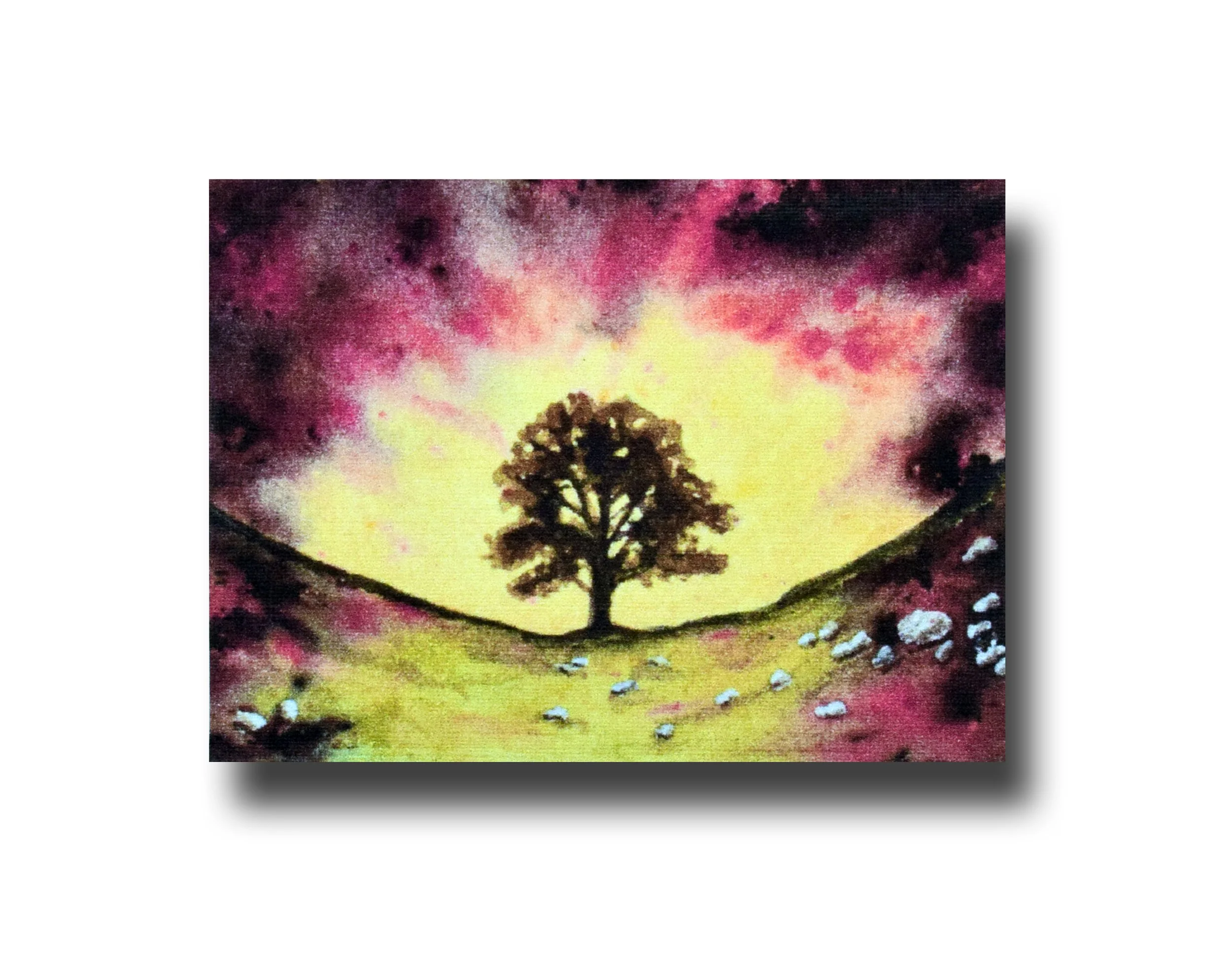 Sycamore Gap website.jpg