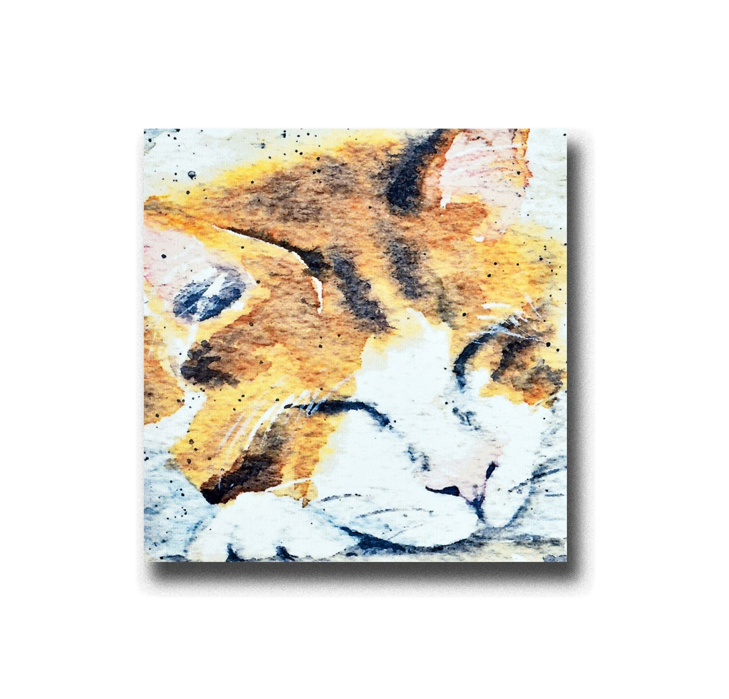 Handmade, greeting card, Catnap