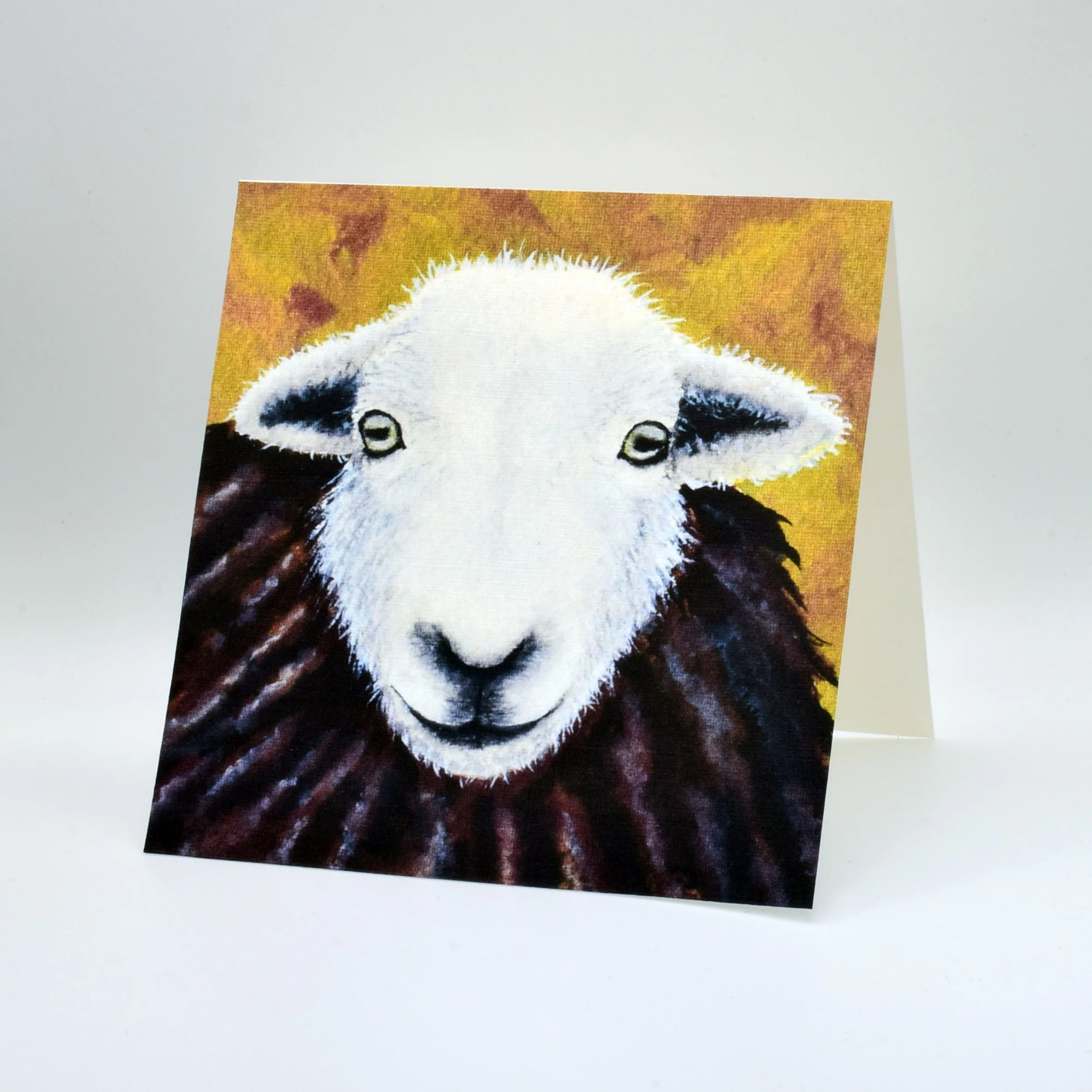 Henry the Herdwick.jpg