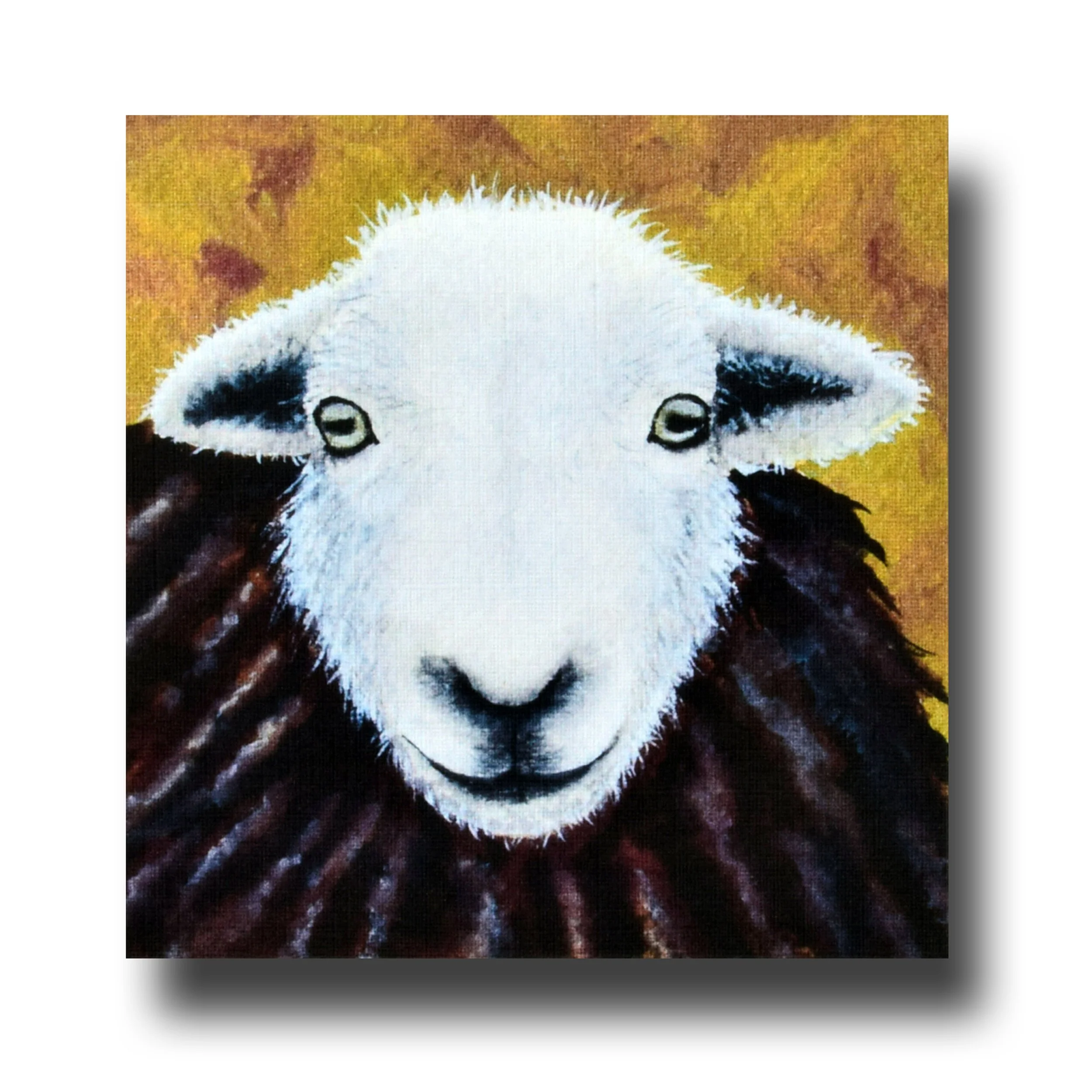 Henry the Herdwick 2.jpg
