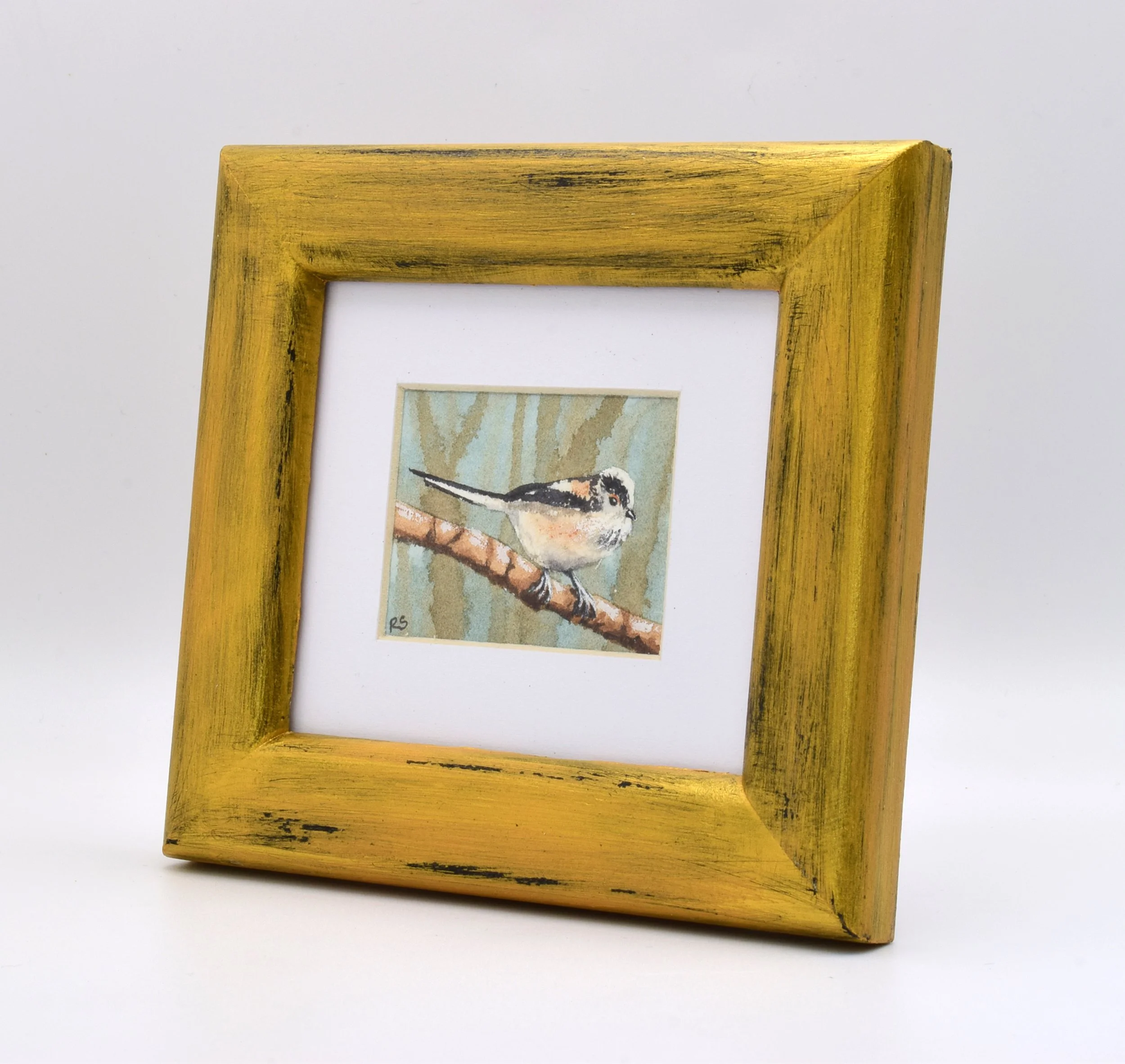 Long Tailed Tit two.jpg