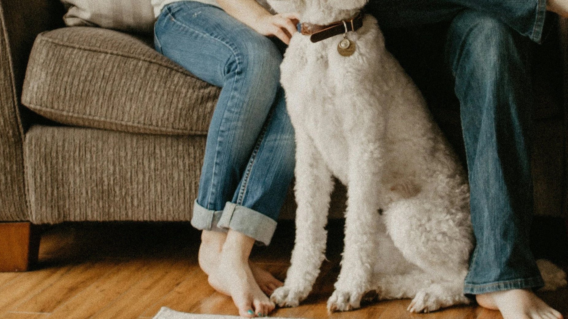 Healing Hearts: Children’s Books About Pet Loss