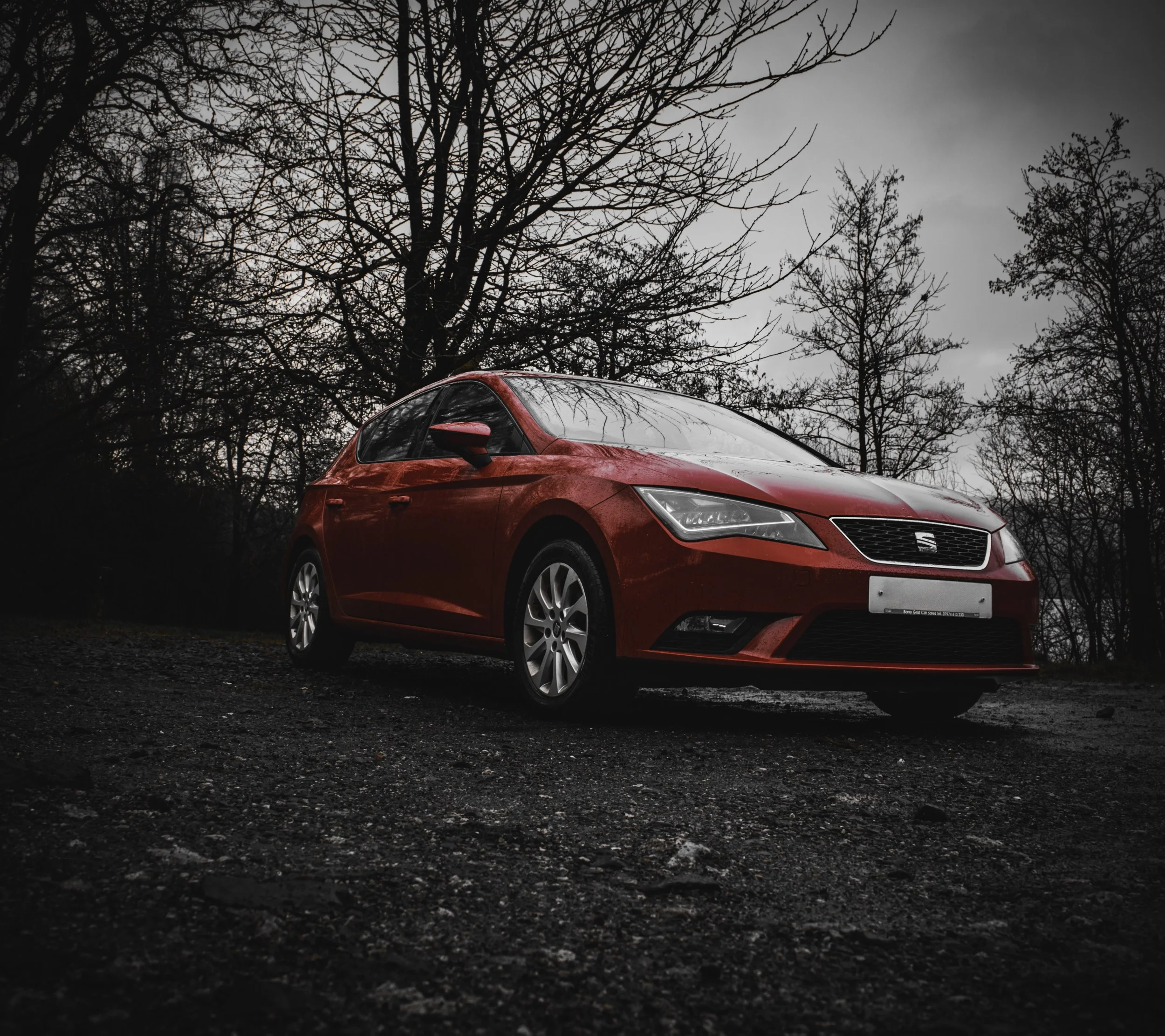 DSC_8382-Edit copy NO PLATE.jpg