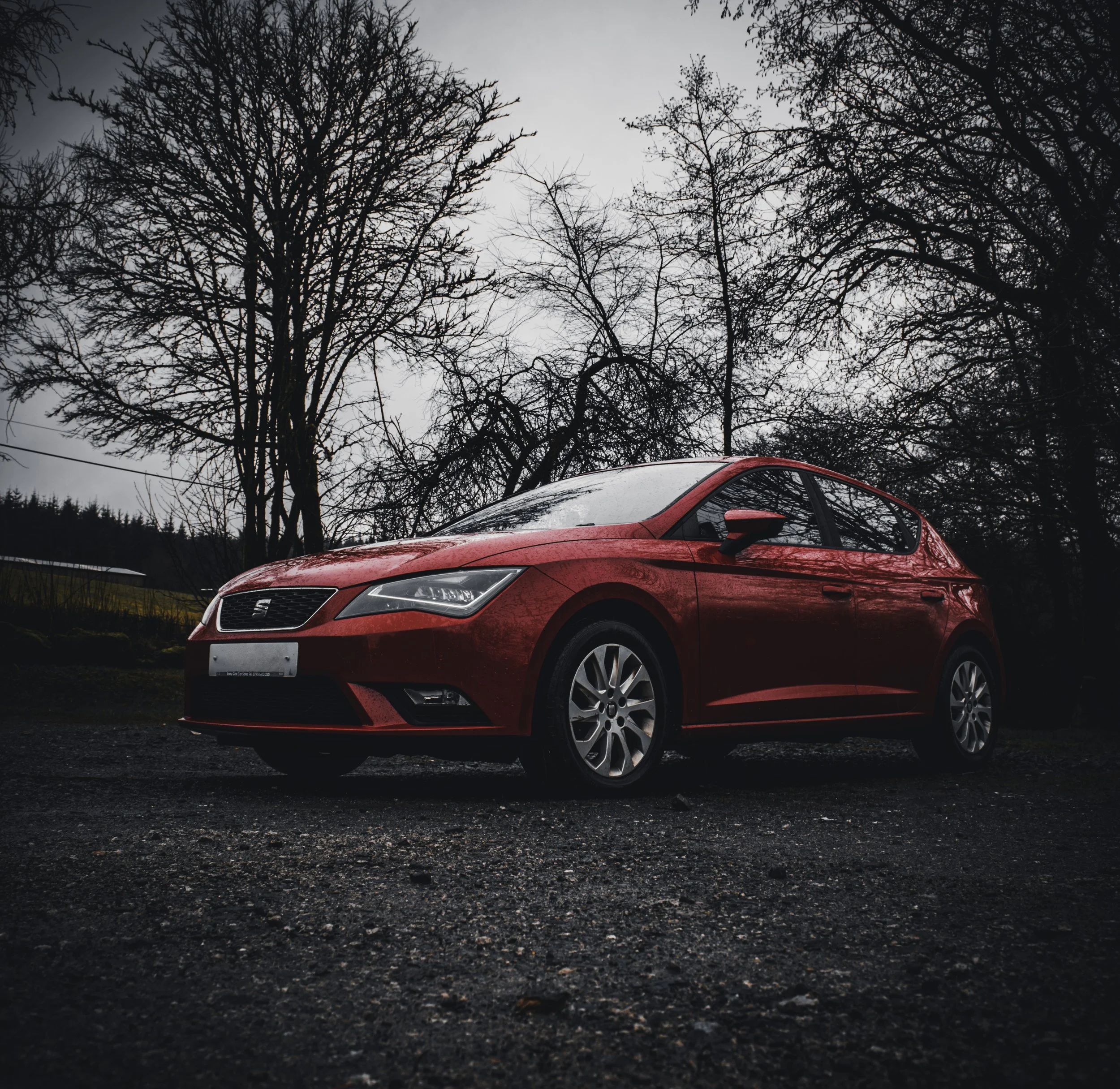 DSC_8378-Edit copy NO PLATE.jpg