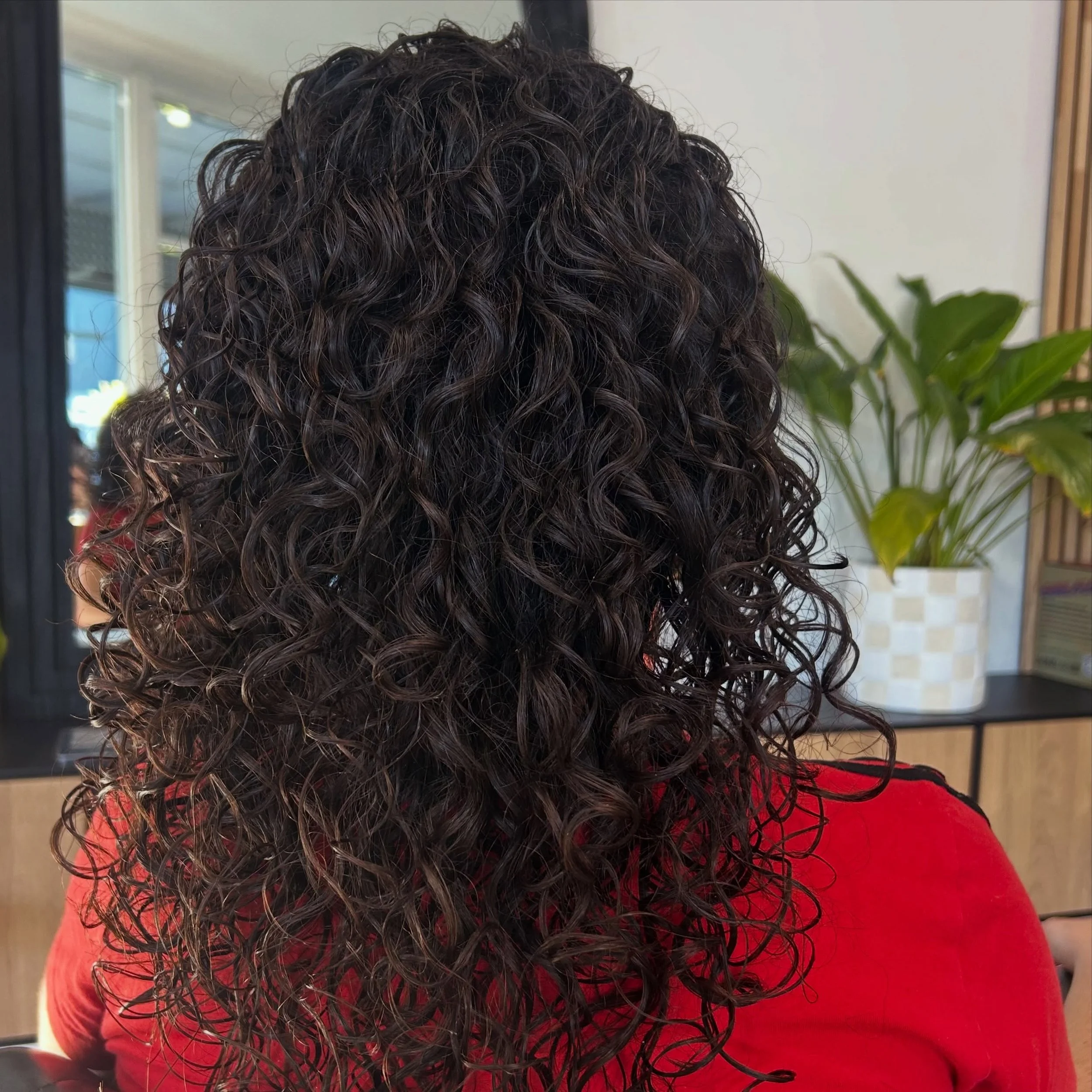 The definition and bounce that came back to these curls was amazing for a first visit. 
#curlyhair #curlyhairdresserbrisbane #brisbanehairdresser