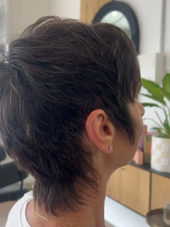 Gloss refresh ✨ 

Grey hair feeling flat? 
Let&rsquo;s do a gloss 😍 

* last photo is the before 
#greyhairrefresh #brisbanehairdresser #greyblendingspecialist #curlyhairspecialist #glossyhair