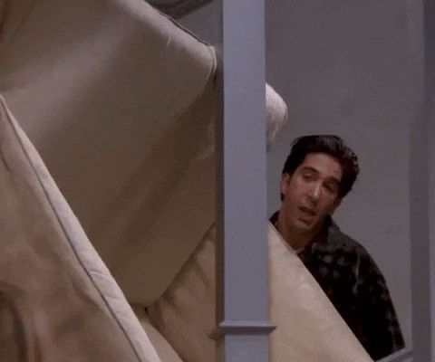 Domestic Dramedy: Backyard Chaos, a DIY BB Gun Backstop, and a Whole Lot of “Pivot!”&nbsp;