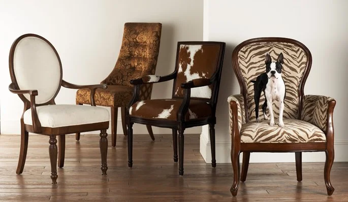 Four chairs with different upholstery styles, including a white oval-backed chair, a brown patterned high-backed chair, a cowhide-patterned chair, and a zebra-patterned armchair with a Boston Terrier dog sitting on it, arranged on a wooden floor agai