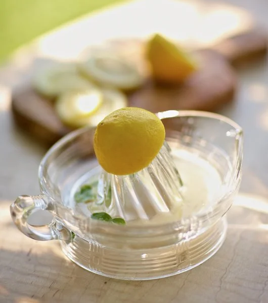 Lemon and fresh herbs in a glass citrus juicer with a lemon on top, near a cutting board with sliced lemons in the background.