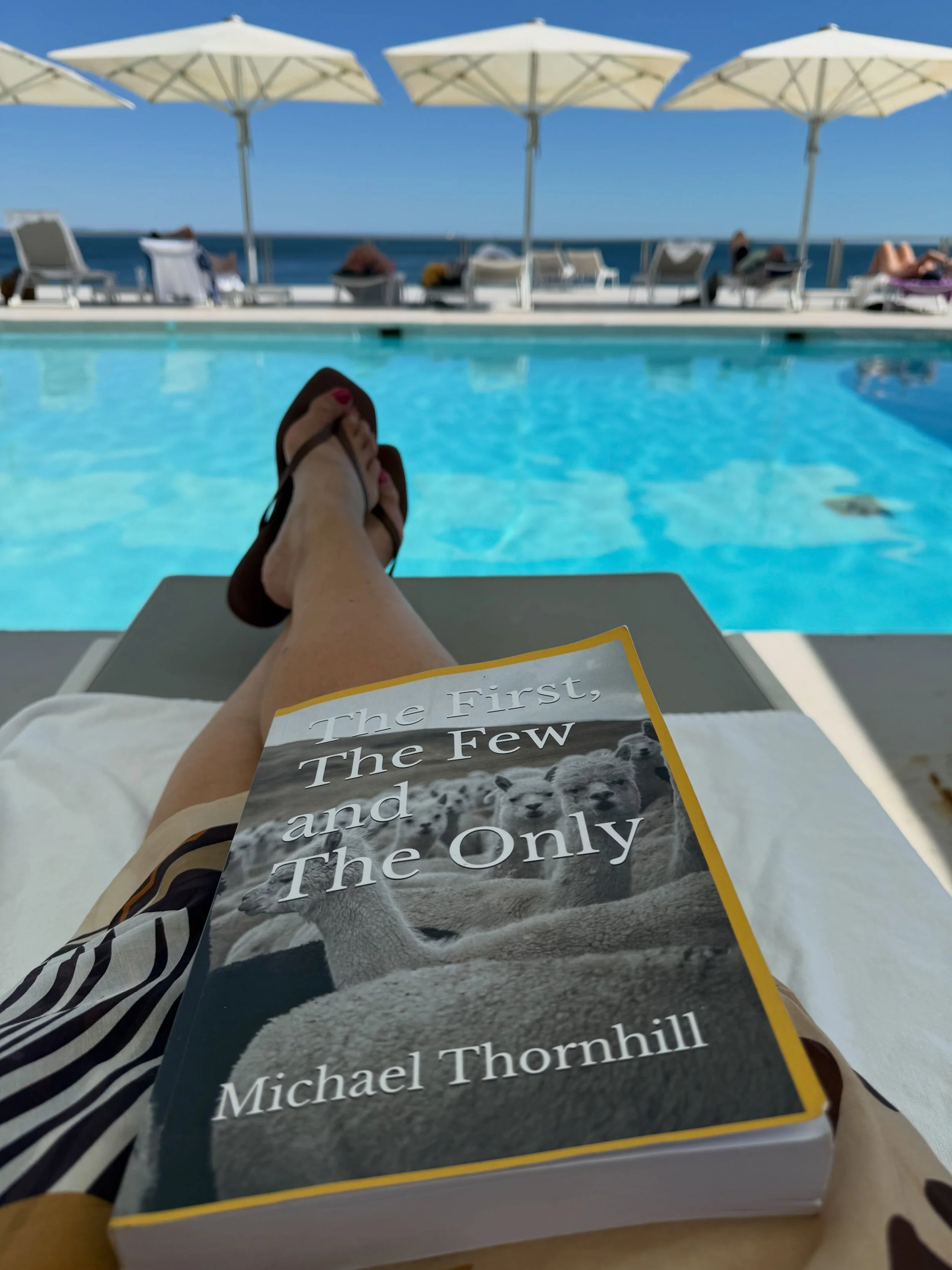 🇵🇹 WHERE IN THE WORLD IS THE FIRST, THE FEW, AND THE ONLY?!

PORTUGAL!!! 😭📚🌍

Man&hellip; this never gets old.

I sat in Pittsburgh writing this book with absolutely no idea where it would end up.

And now somebody sends me a picture from Portug