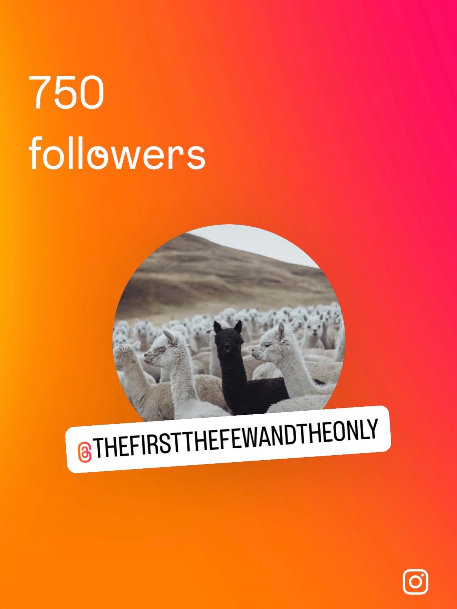 750 FOLLOWERS!!! 🥹🥹🥹

Okay, I know somewhere on the internet somebody is like, &ldquo;Sir&hellip;it&rsquo;s 750.&rdquo; 😂

BUT Y&rsquo;ALL DON&rsquo;T UNDERSTAND.

I have made OVER 870 POSTS in the last 14 months trying to market this book and ma
