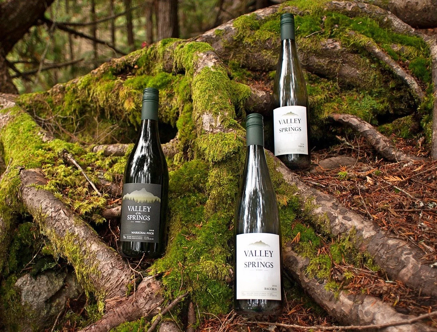 Vally of the Springs Nakusp Wine.jpg