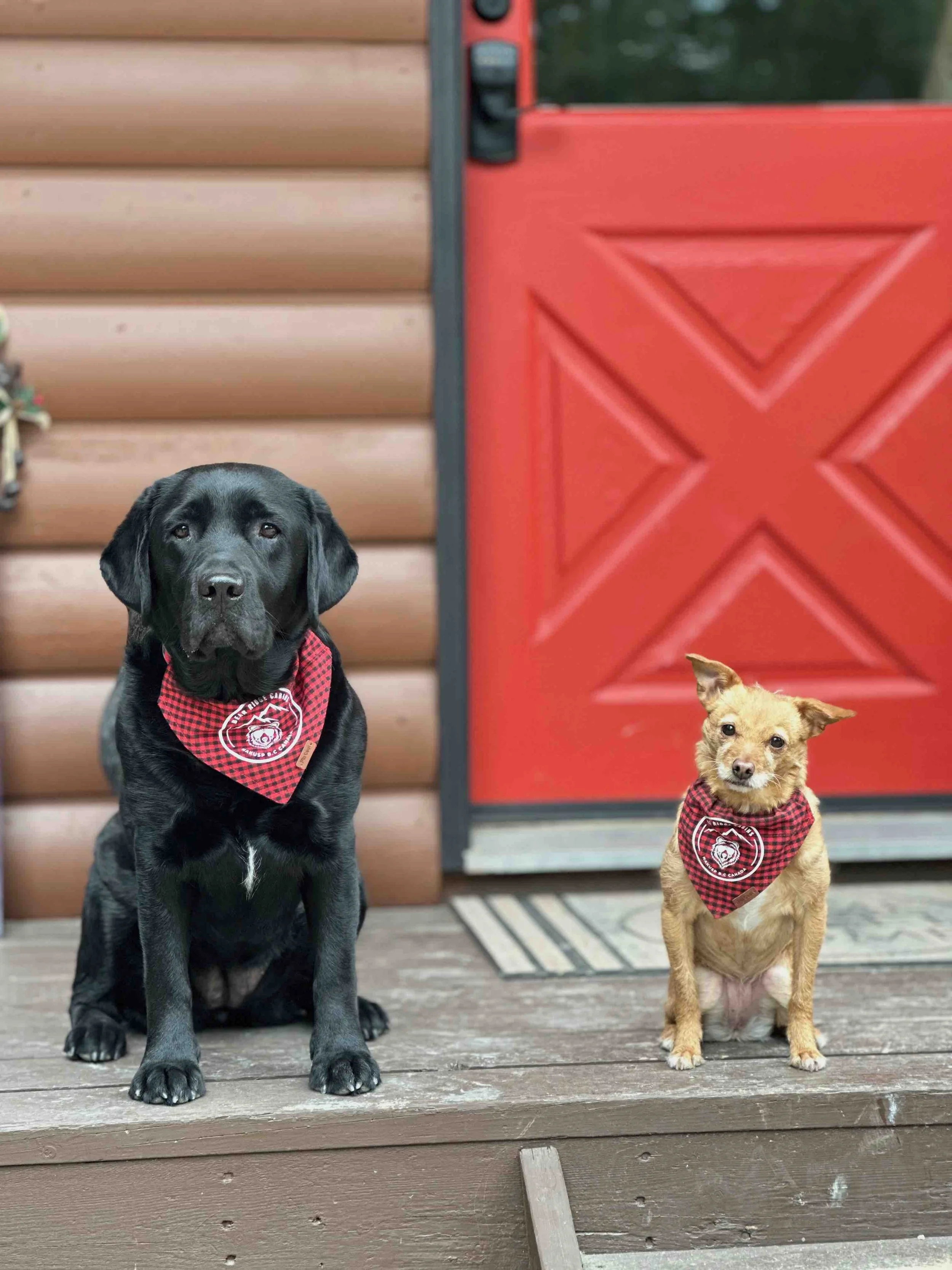 Pet Friendly Accommodations.jpg