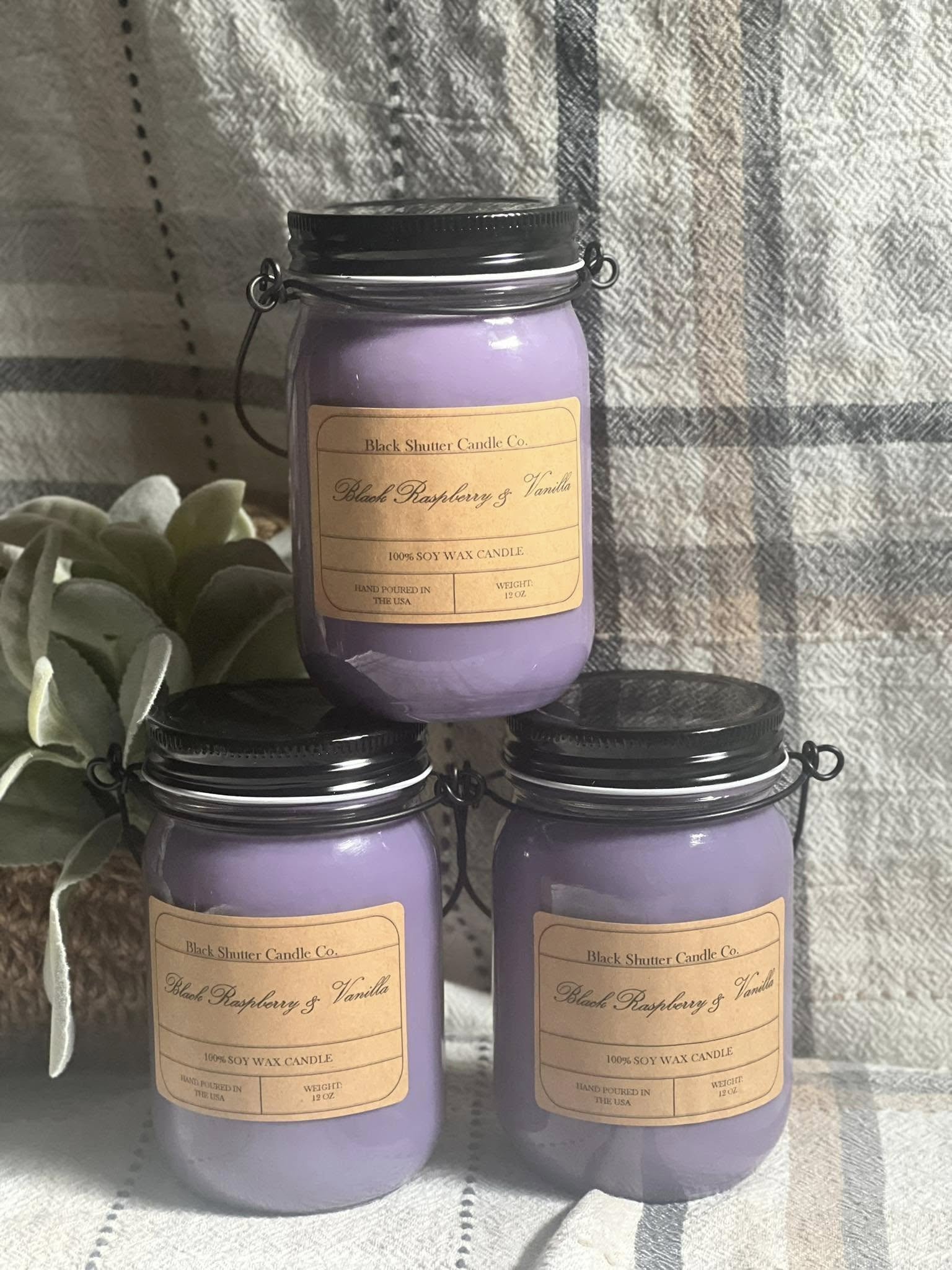 Black Raspberry.jpg