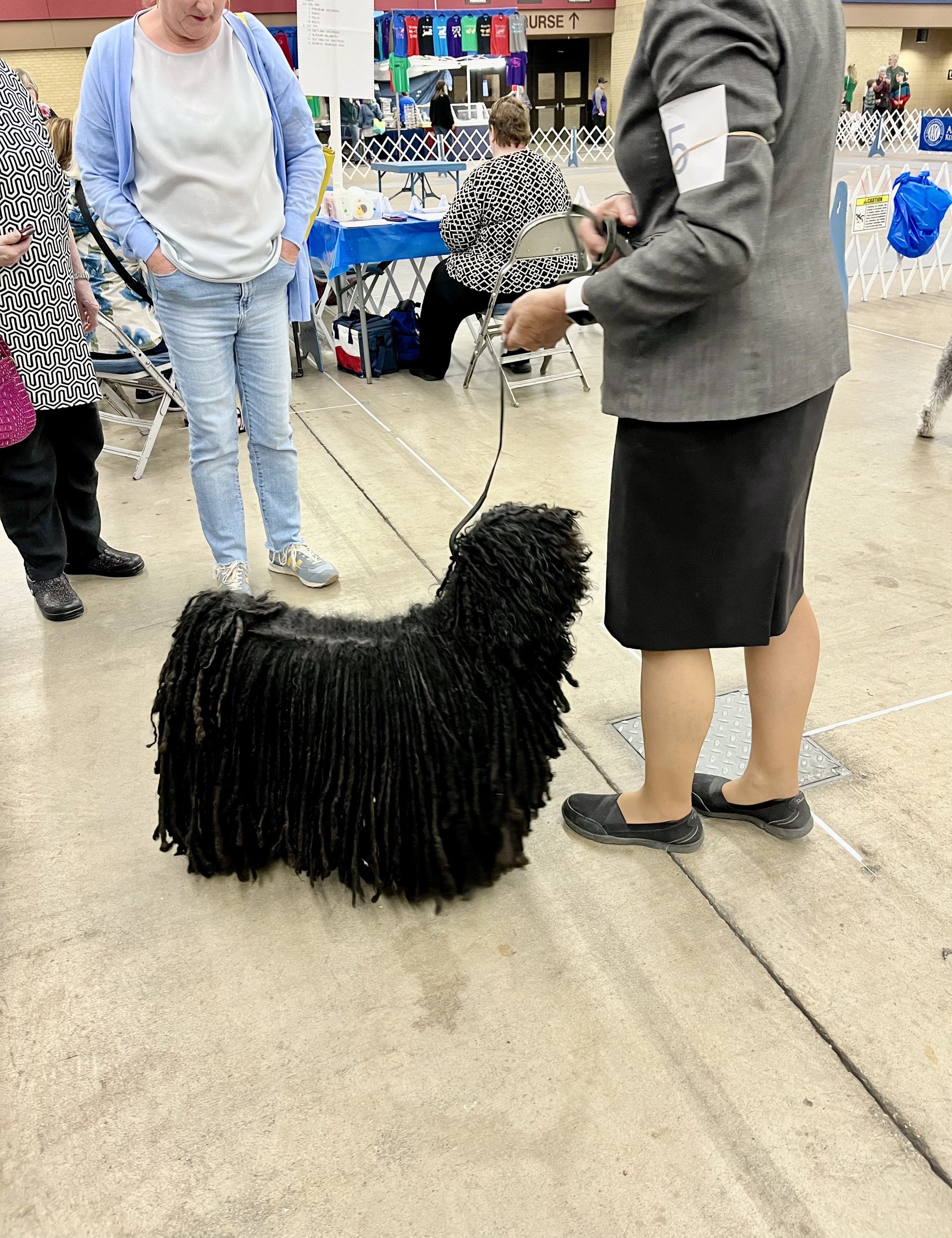 A woman with a black skirt and gray blazer holding a dog leash with a large black dog with dreadlocks in a dog show setting. Several people are around, some seated at tables, with various booths and signs in the background.