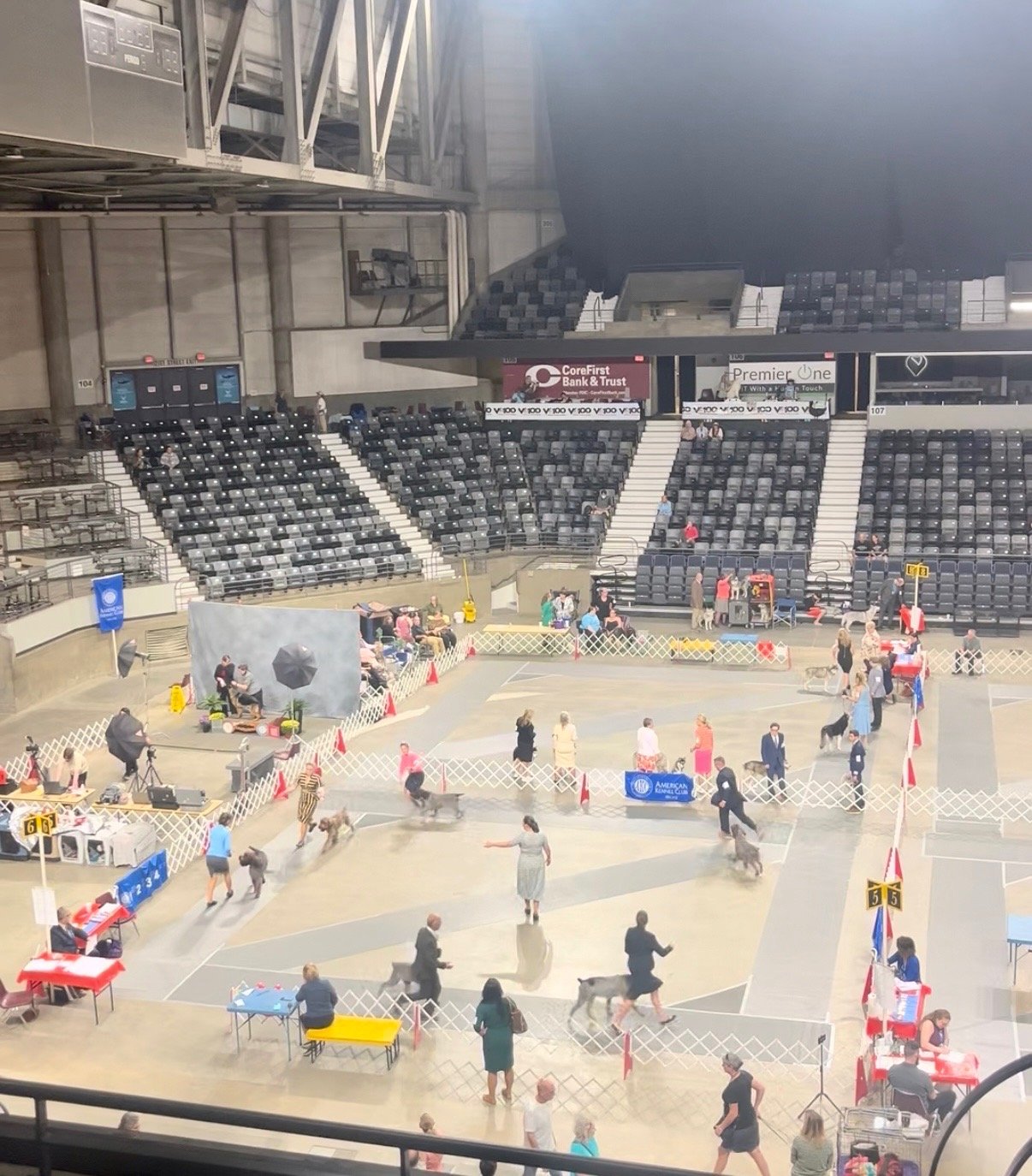 Dog show inside a large arena with people and dogs walking on a designated course, surrounded by fences, with empty seating in the background.