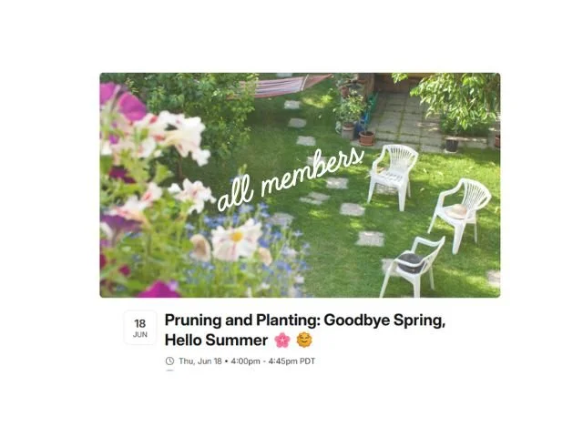 Image shows a backyard with white chairs in a circle and purple and white flowers and a hamock. 