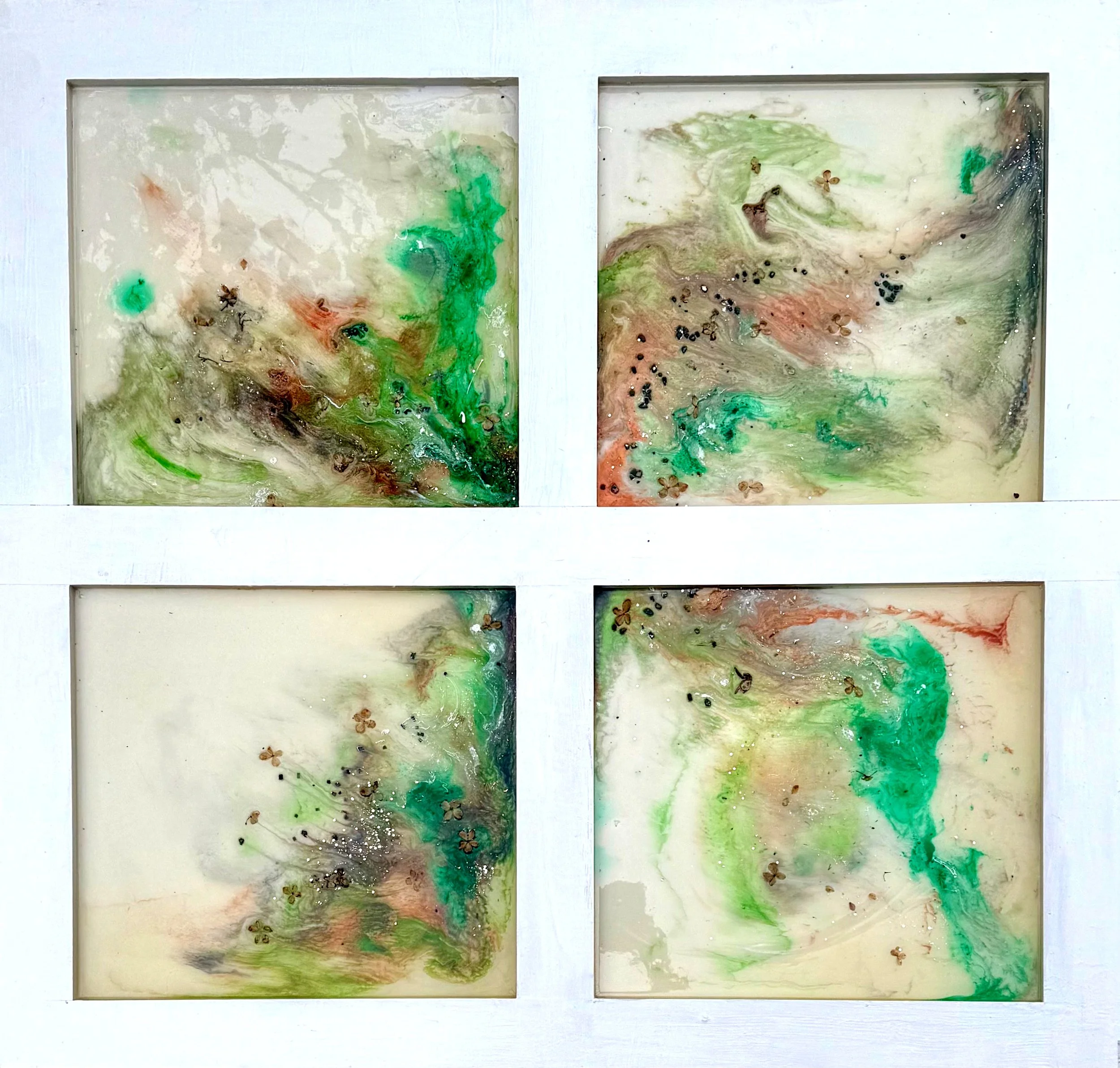 Disconnection: A Call to Rewild