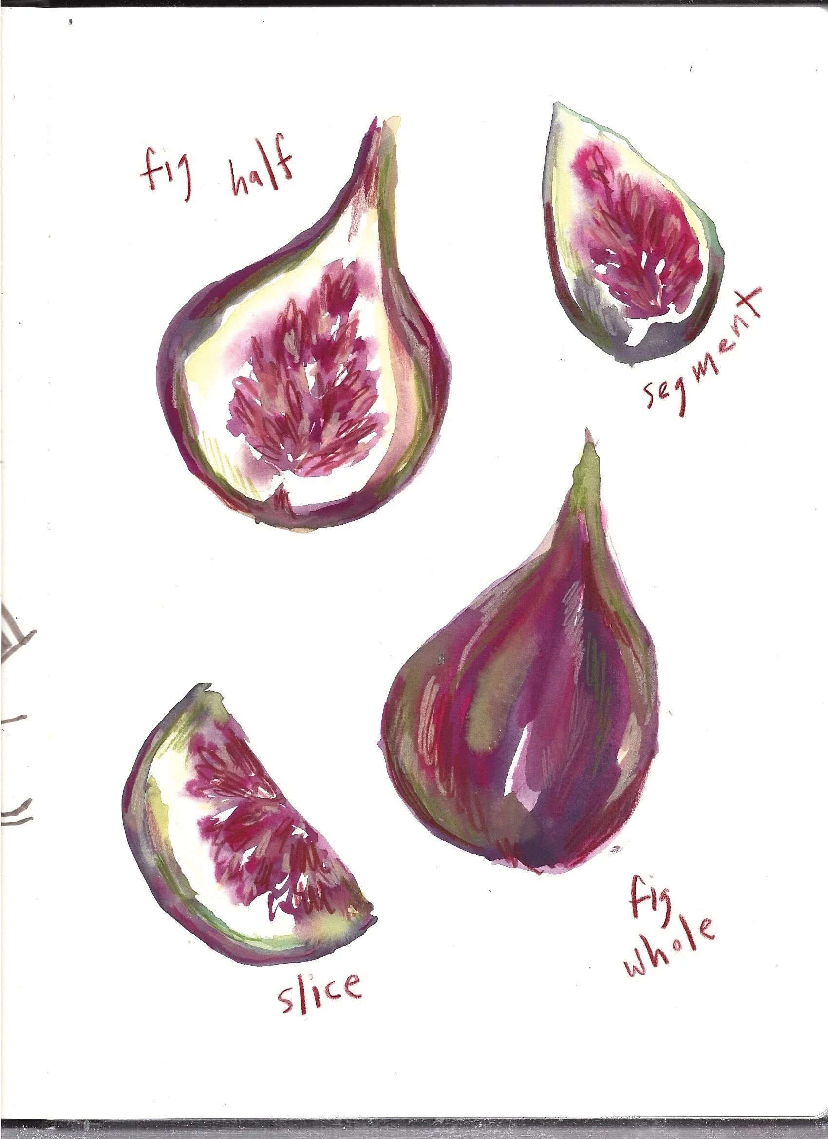 10th dec 25 sketchbooks pages _20.jpg