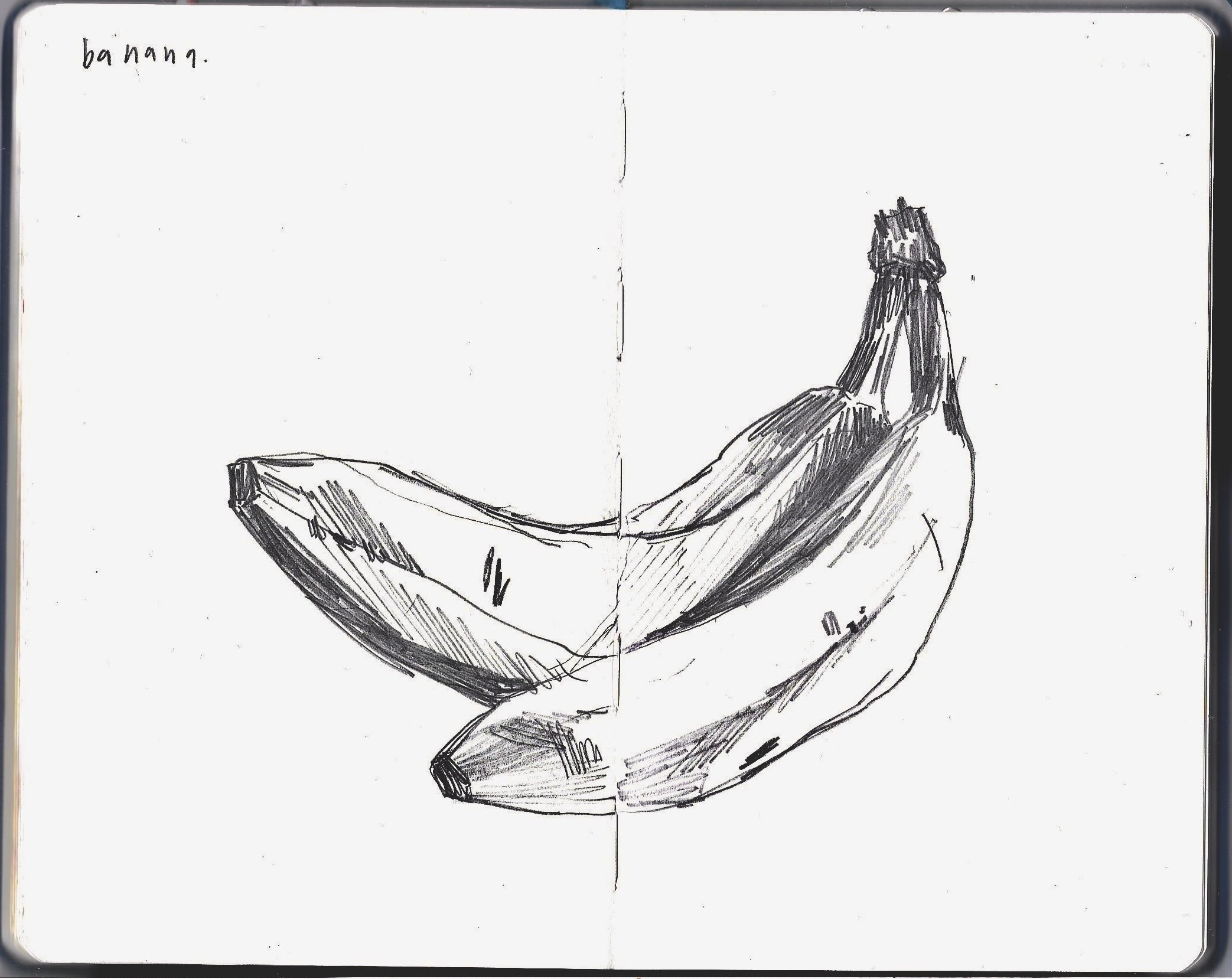 10th dec 25 sketchbooks pages _1.jpg