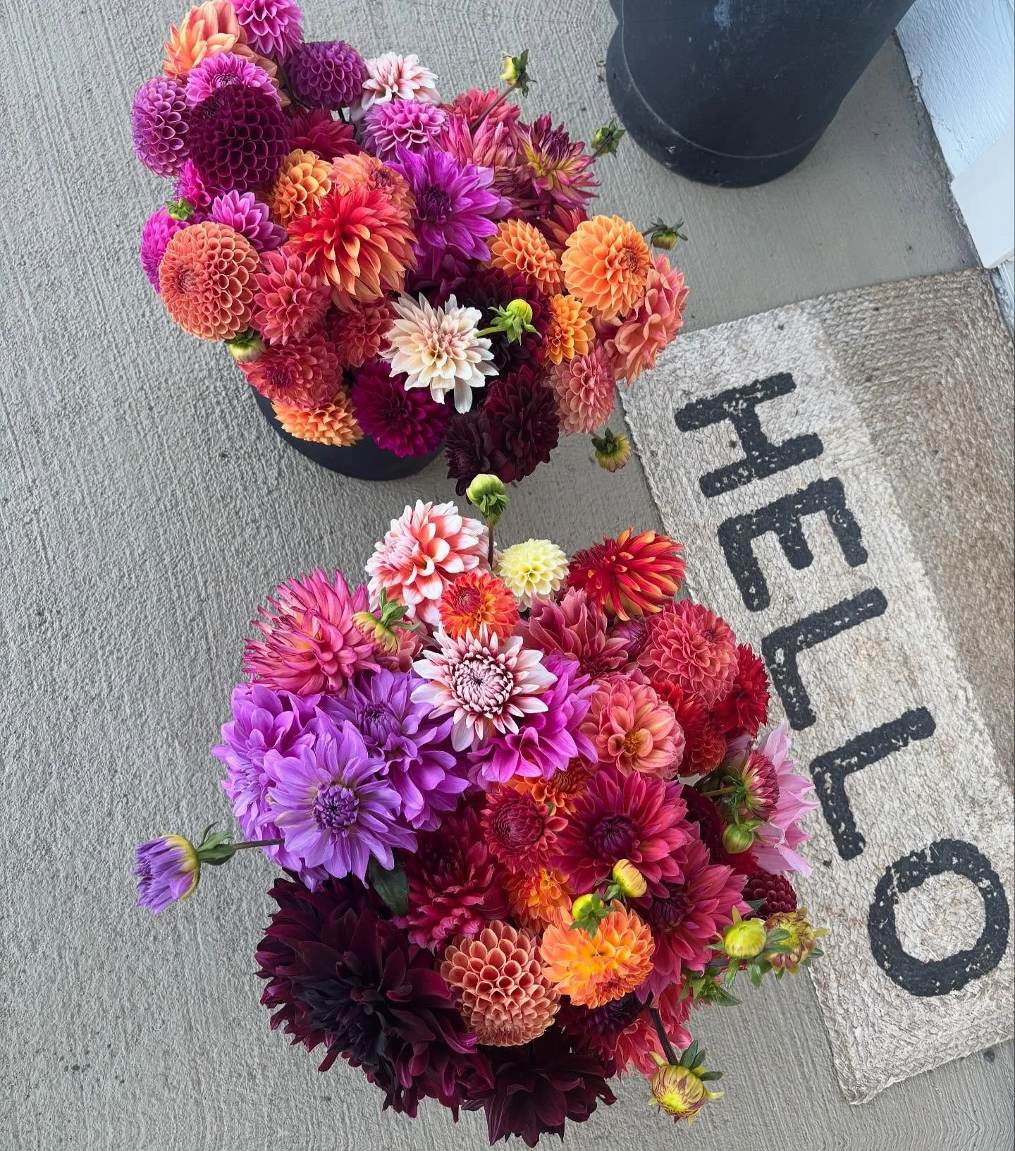 Loved getting to cut these buckets of flowers for the @gracehousesalem event! If you don&rsquo;t, give them a follow! They are doing wonderful things for women in our community! 

#simnitthouseandhome #gracehouse
