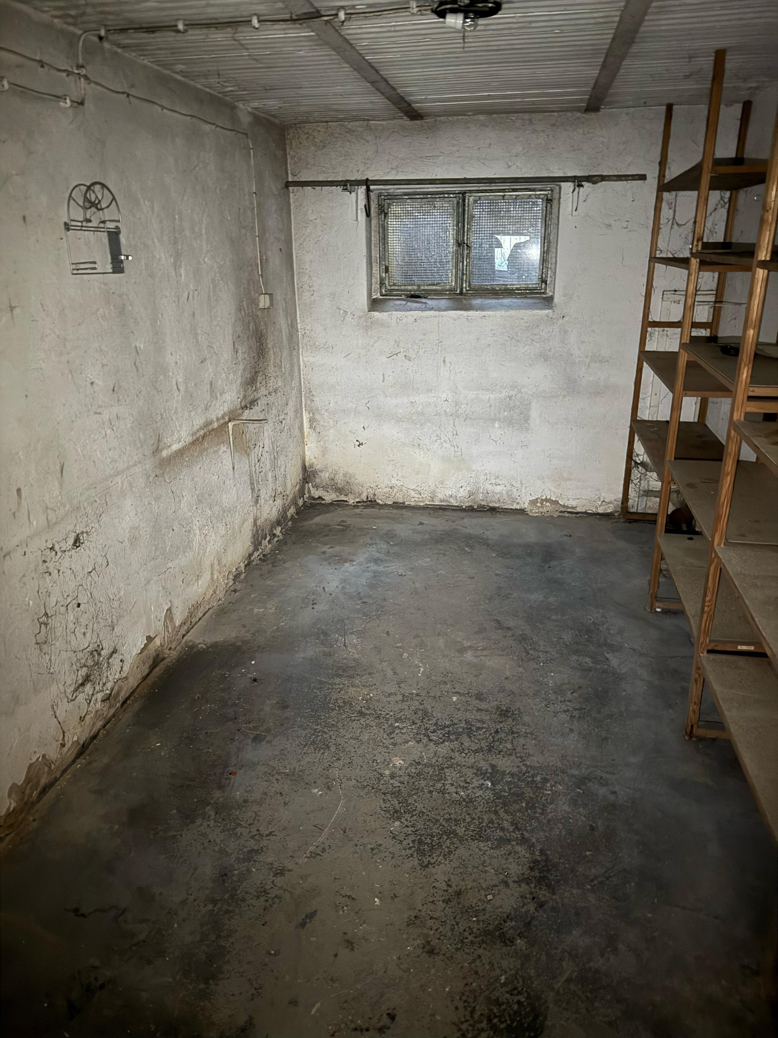 Ein leerer Kellerraum mit Betonboden, alten weißen Wänden und einem kleinen Fenster mit Gitter. Rechts steht ein einfaches Holzregal. Die Decke hat sichtbare Rohrleitungen.