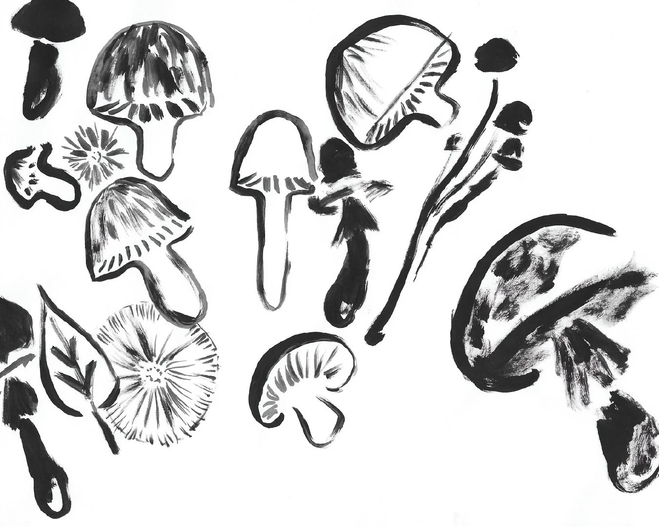 Menù Funghi | Menu Mushrooms