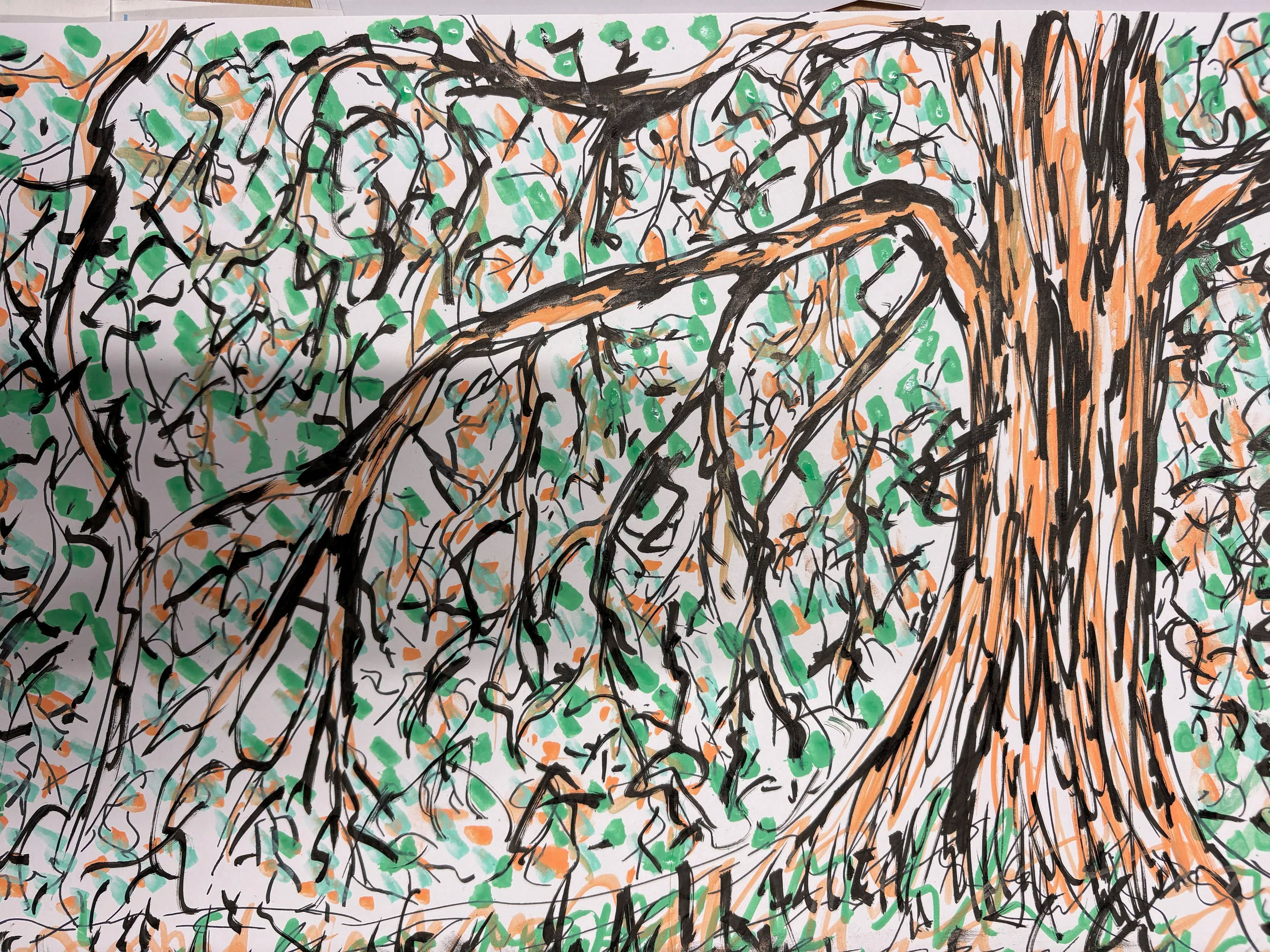 IMG_5976.png