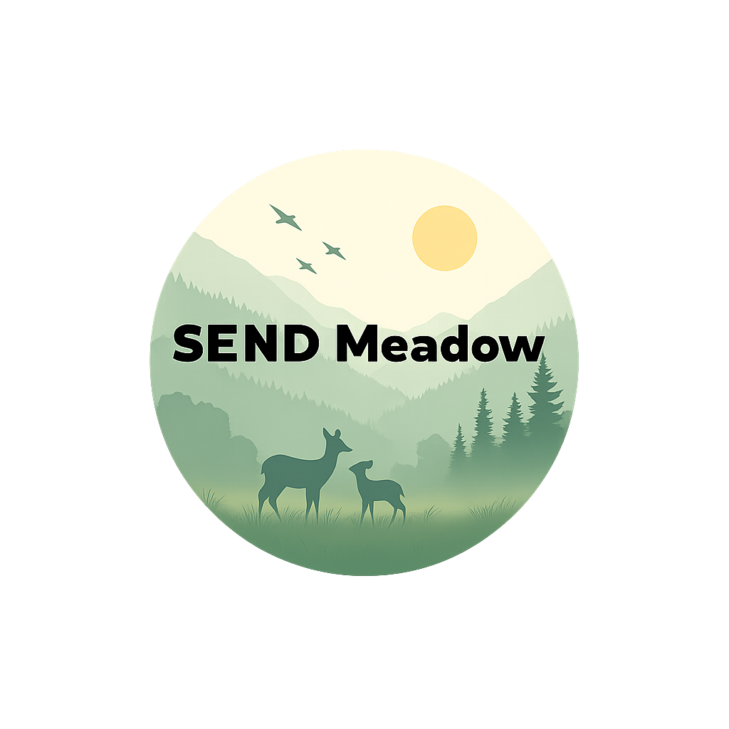 SEND Meadow: SEND Advisory Services 