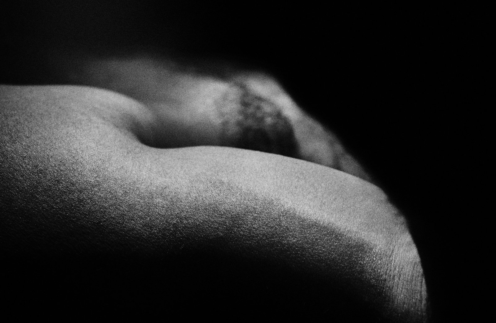 Black and white photograph of a rounded body form rising out of darkness into soft light