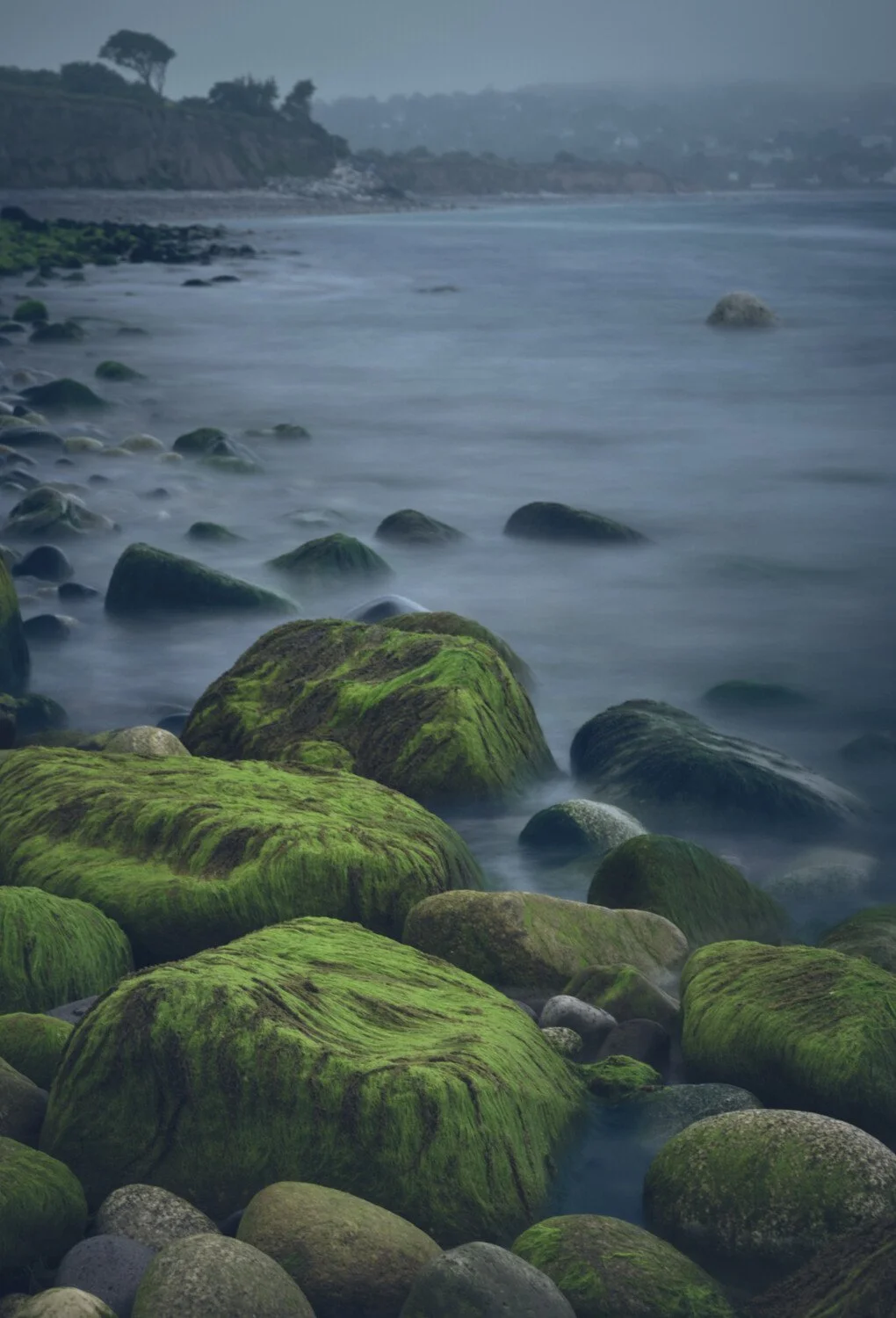 Calm ocean shoreline with moss-covered rocks and distant land under an overcast sky.