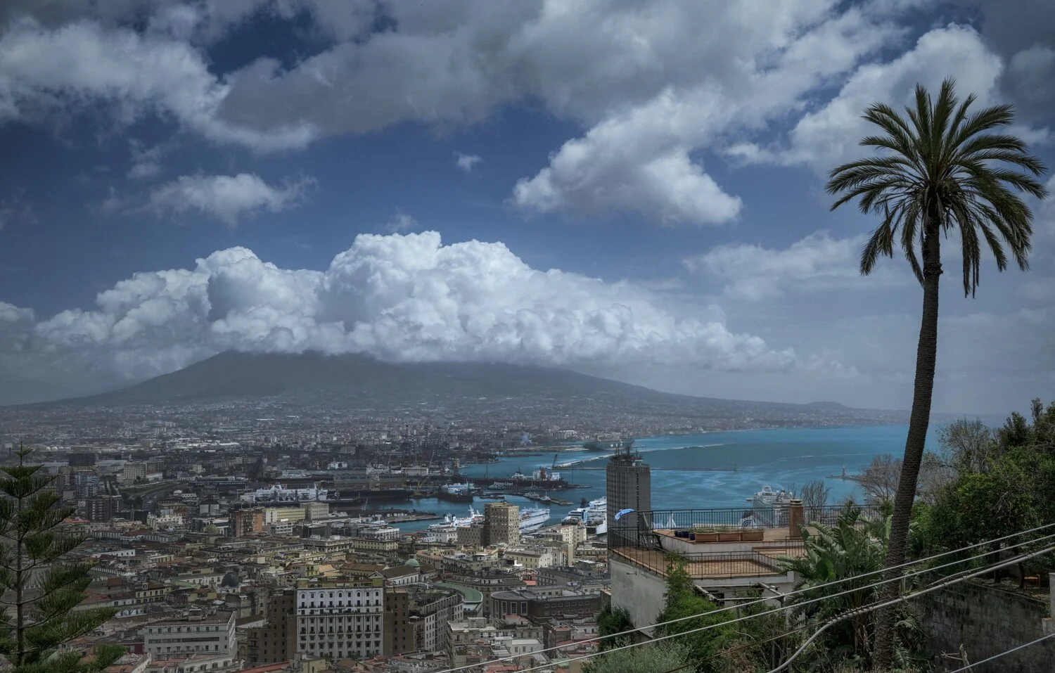 View of a coastal city with buildings, ships in the harbor, a large mountain or volcano in the background partially obscured by clouds, and a palm tree in the foreground under a partly cloudy sky.