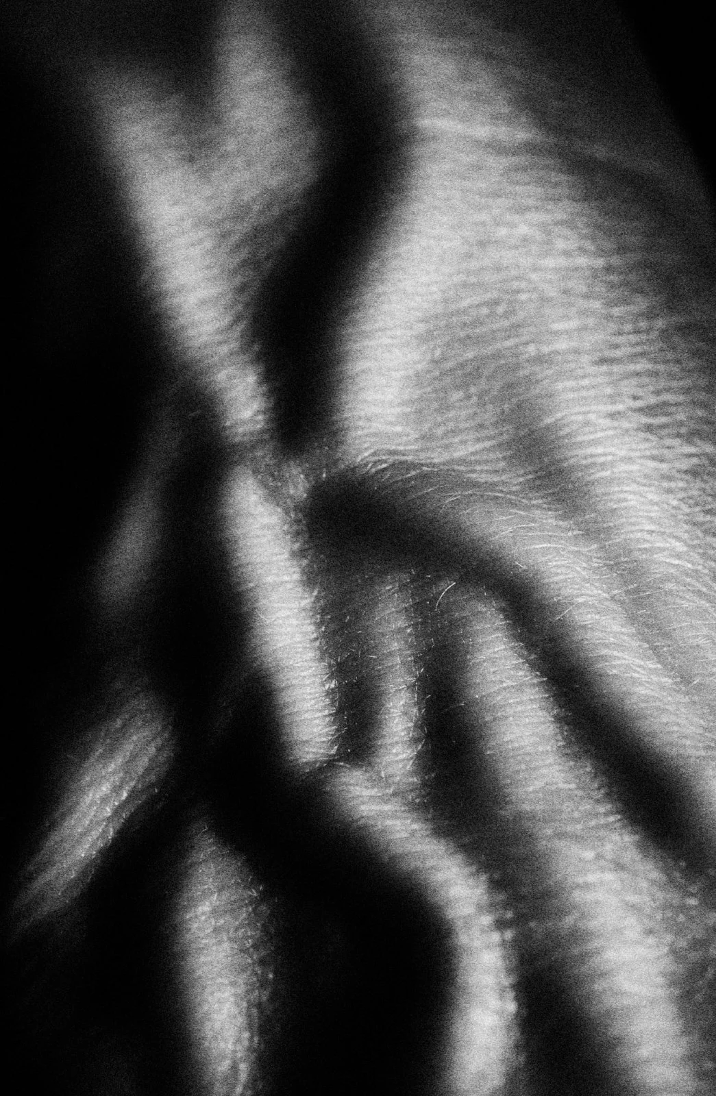 Rhythm