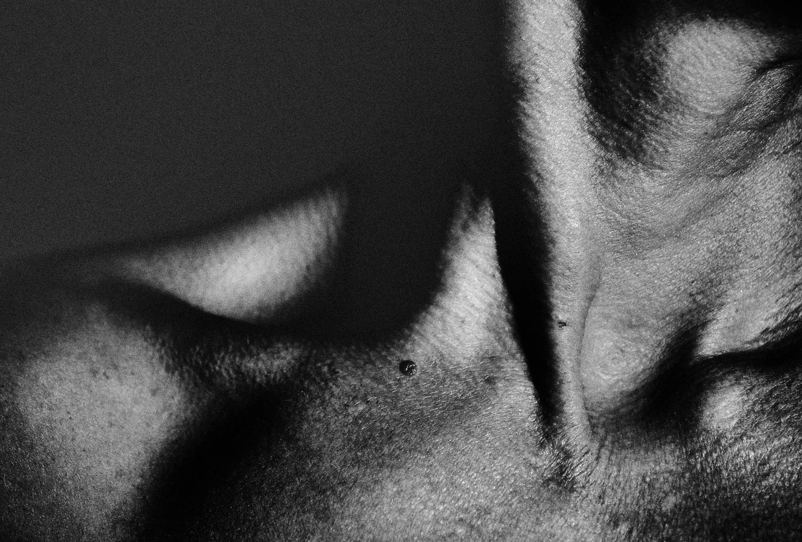Black and white macro photograph of skin folds forming valley-like shadows and ridges
