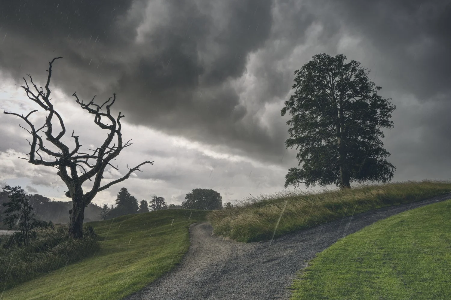 A gravel path curves through a grassy hill with a dark stormy sky overhead. There are two trees, one dead with bare, twisted branches on the left and one full with green leaves on the right.