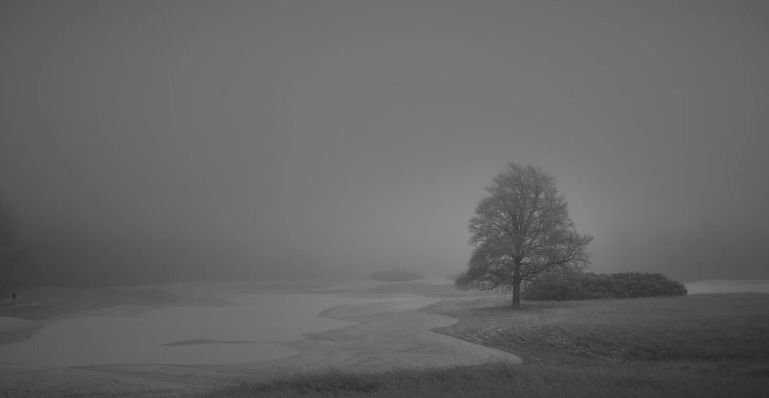 A black and white landscape with a winding river, a large tree on the right, and foggy surroundings.